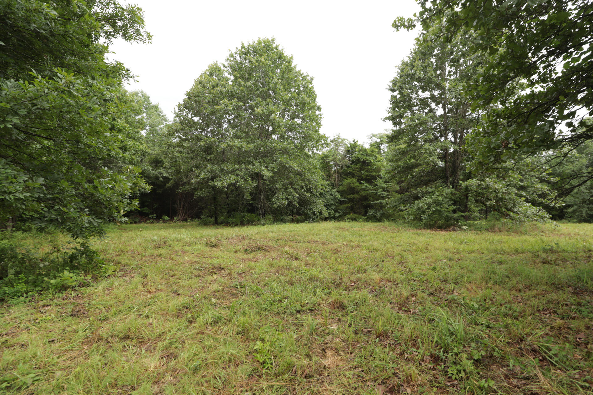 Photo 36 - Land for sale – 406  Horner Drive  Bradleyville, MO
