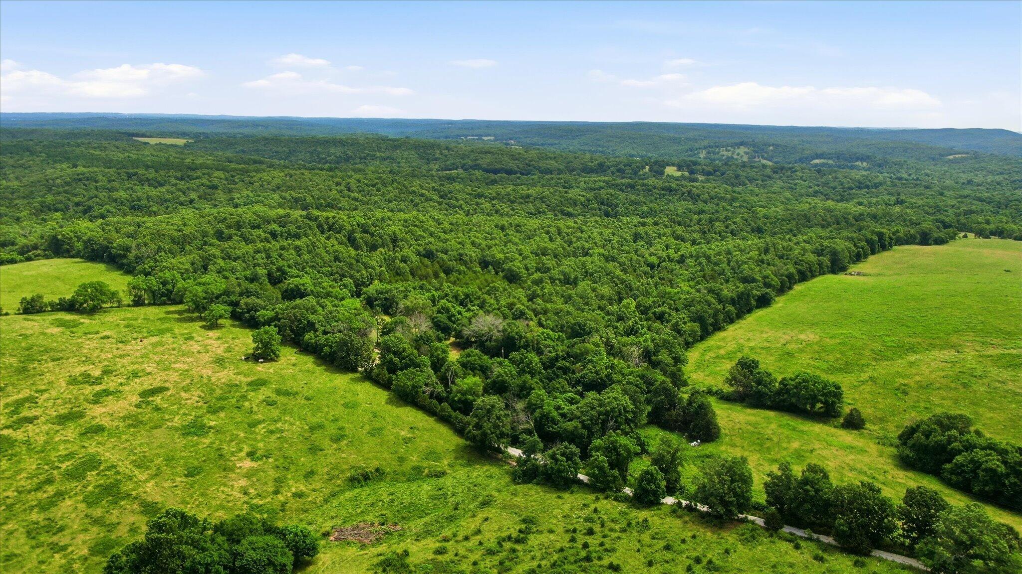 Photo 4 - Land for sale – 406  Horner Drive  Bradleyville, MO