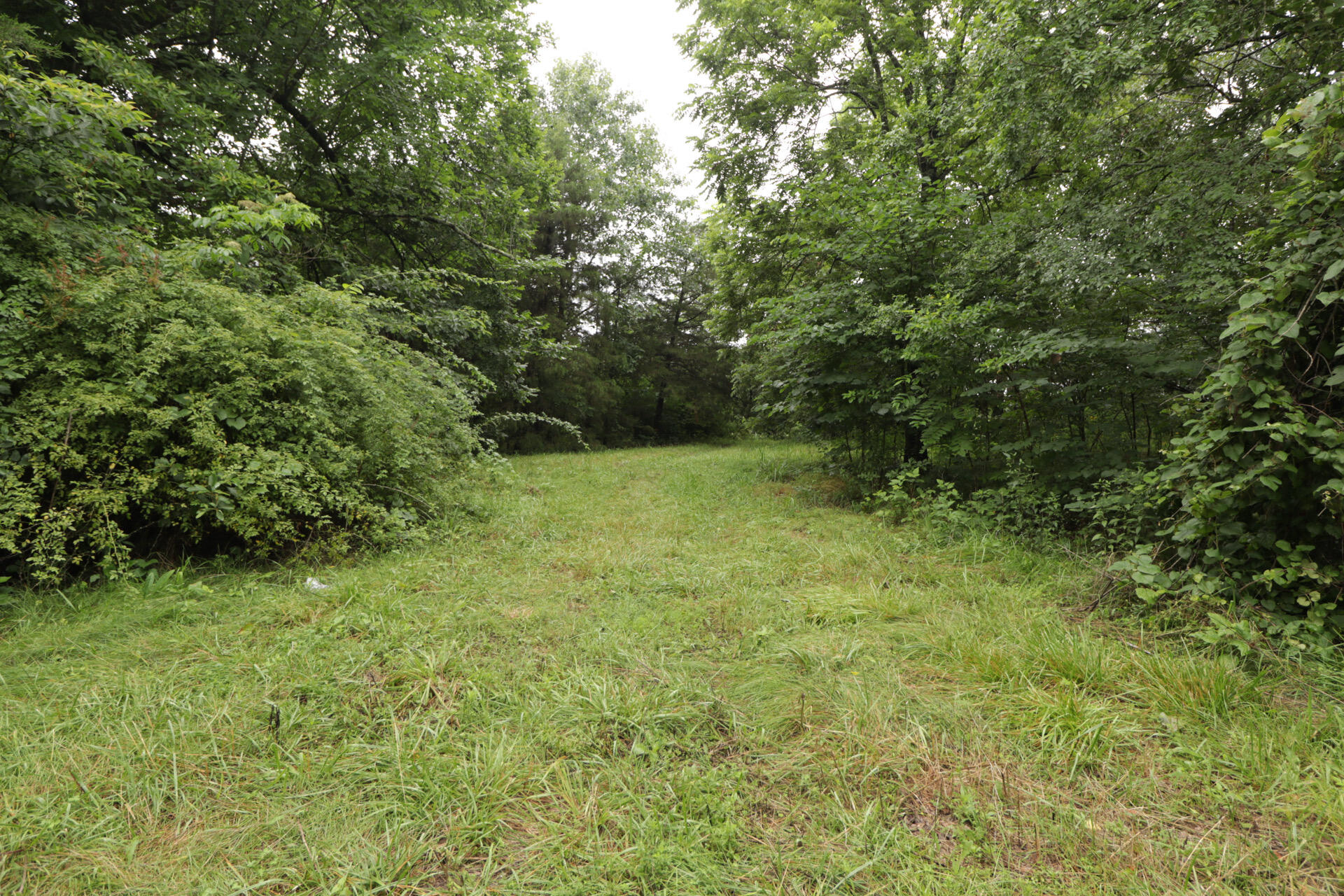 Photo 70 - Land for sale – 406  Horner Drive  Bradleyville, MO