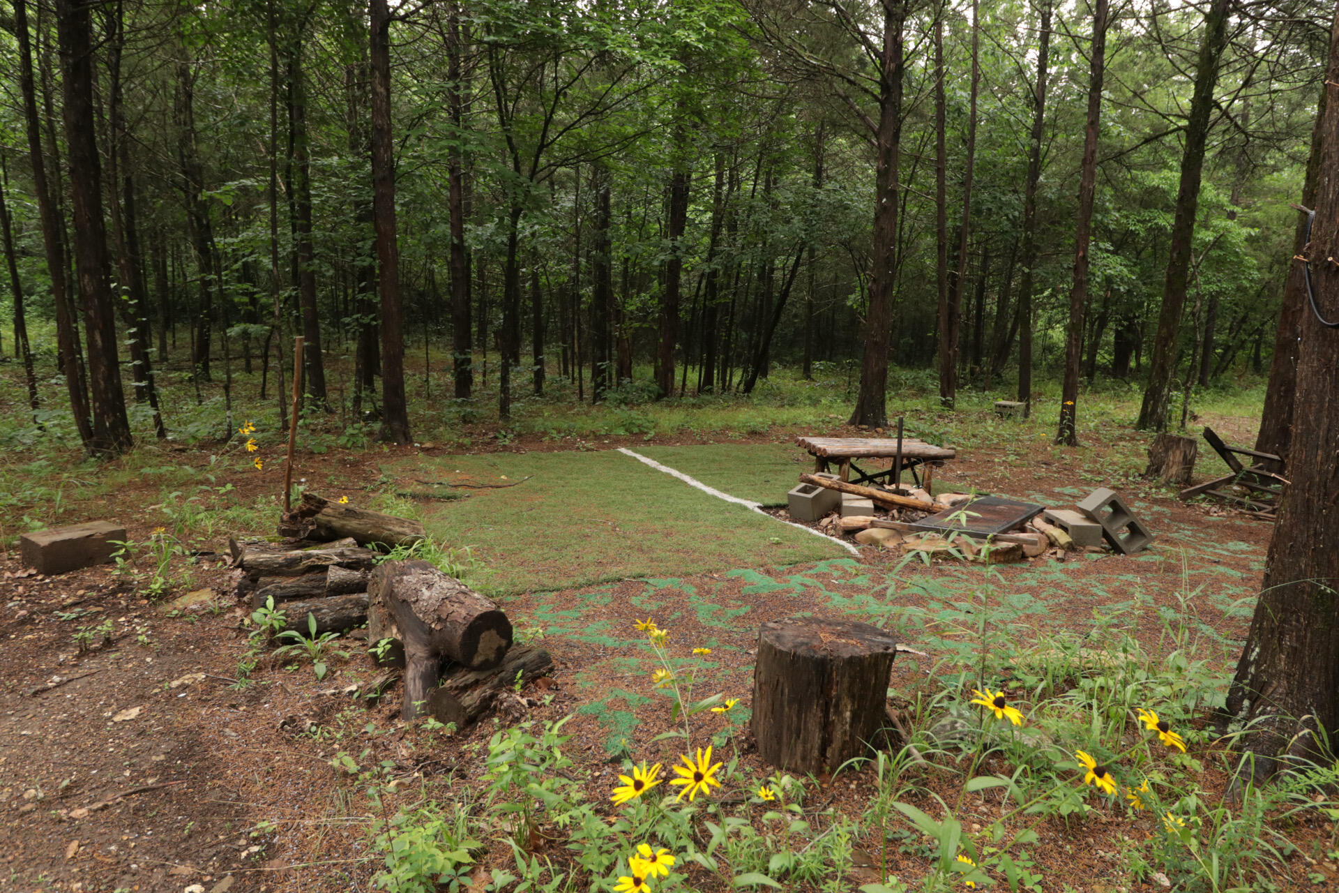 Photo 50 - Land for sale – 406  Horner Drive  Bradleyville, MO