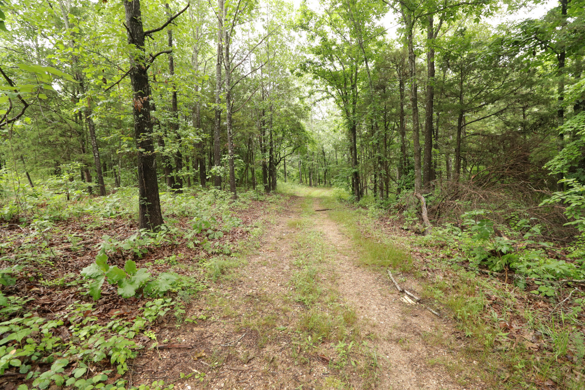 Photo 38 - Land for sale – 406  Horner Drive  Bradleyville, MO
