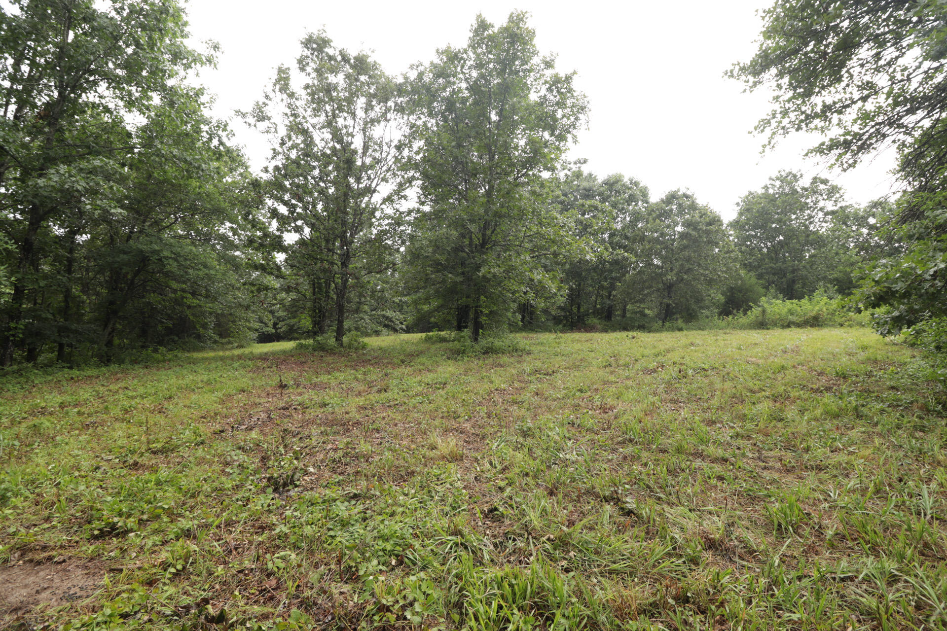 Photo 35 - Land for sale – 406  Horner Drive  Bradleyville, MO