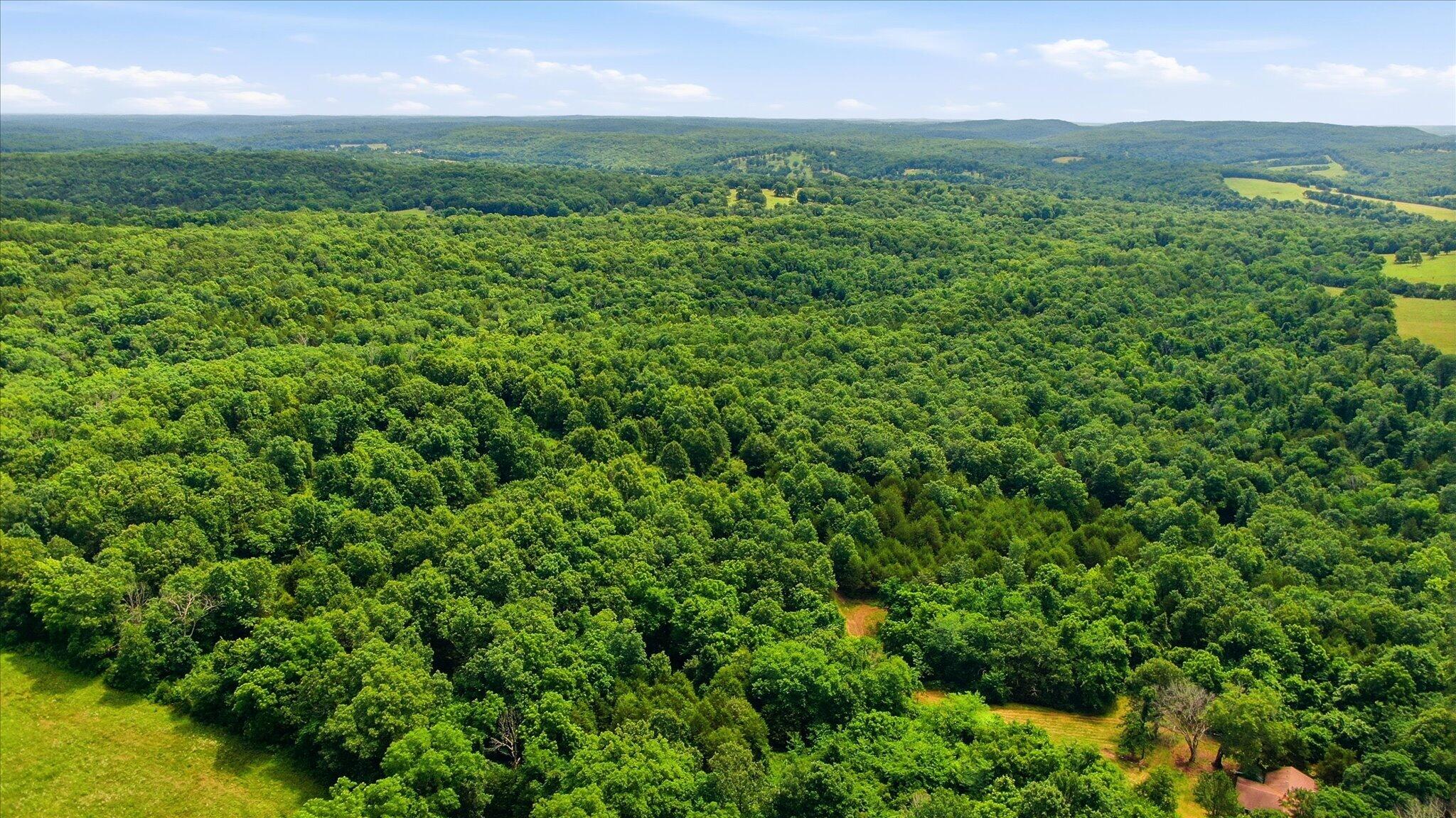 Photo 13 - Land for sale – 406  Horner Drive  Bradleyville, MO