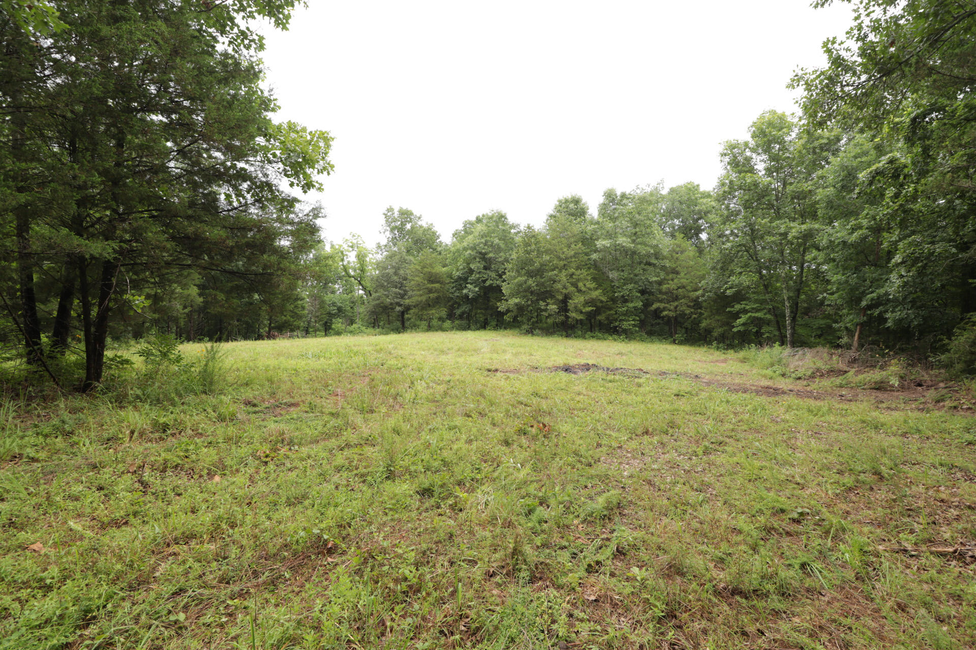 Photo 44 - Land for sale – 406  Horner Drive  Bradleyville, MO
