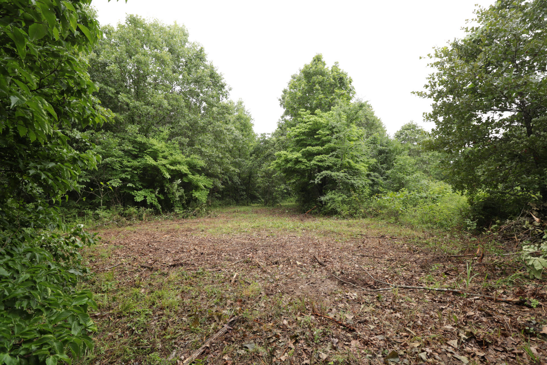 Photo 33 - Land for sale – 406  Horner Drive  Bradleyville, MO