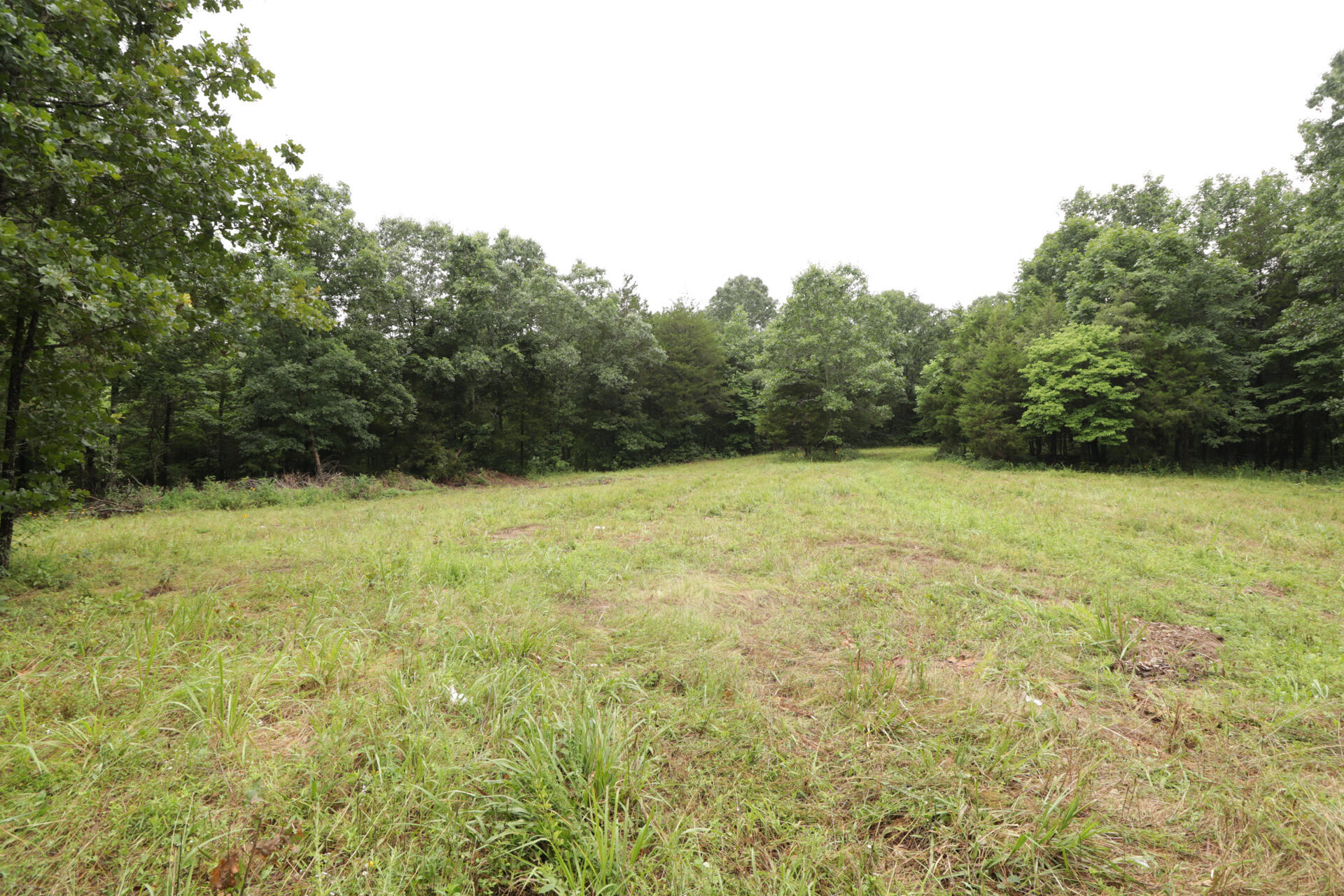 Photo 45 - Land for sale – 406  Horner Drive  Bradleyville, MO