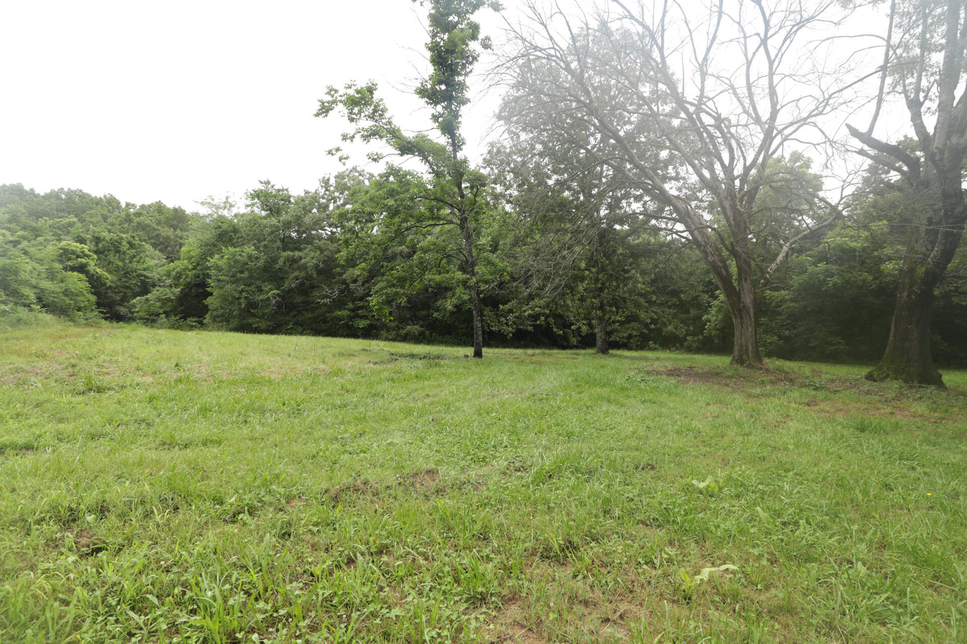 Photo 23 - Land for sale – 406  Horner Drive  Bradleyville, MO