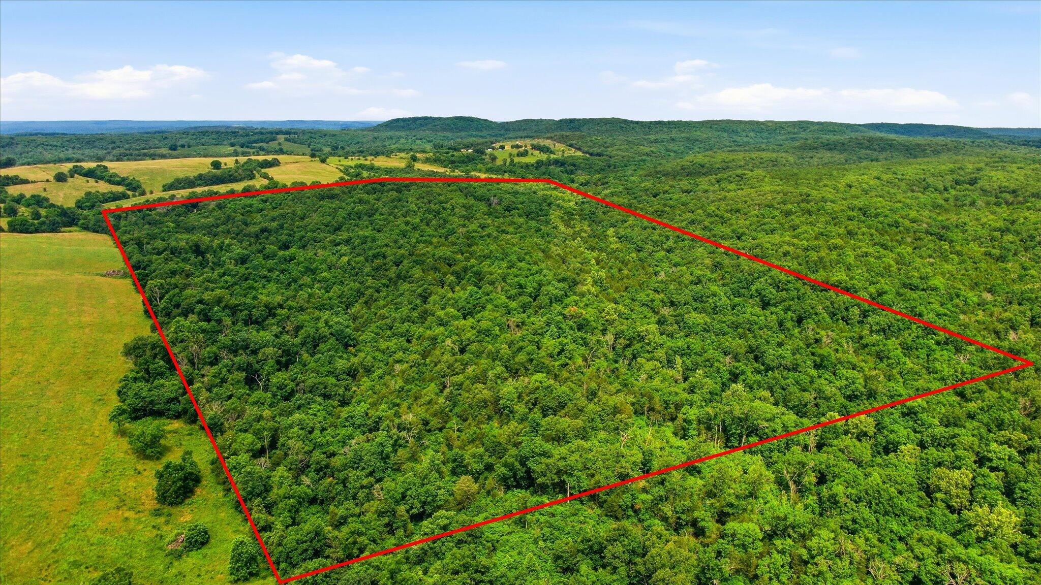 Photo 3 - Land for sale – 406  Horner Drive  Bradleyville, MO