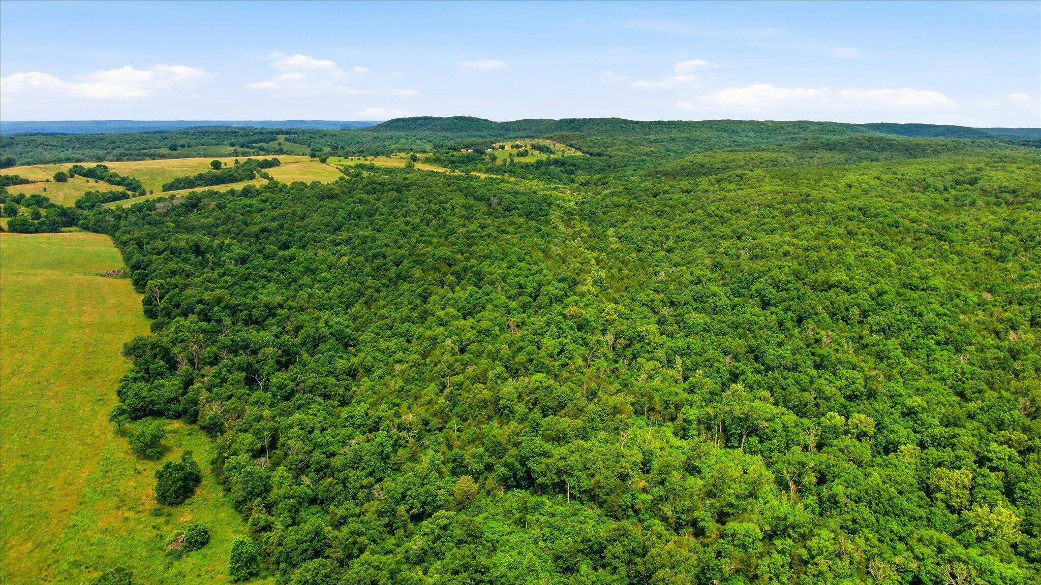 Photo 5 - Land for sale – 406  Horner Drive  Bradleyville, MO