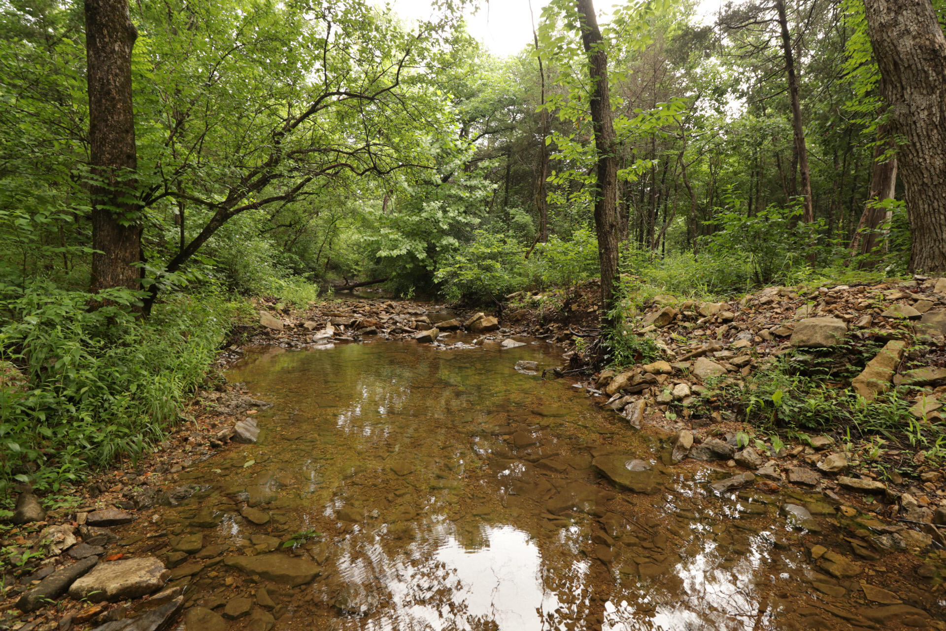 Photo 47 - Land for sale – 406  Horner Drive  Bradleyville, MO