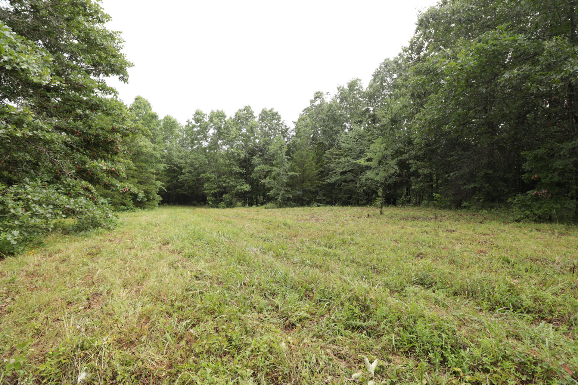 Photo 37 - Land for sale – 406  Horner Drive  Bradleyville, MO