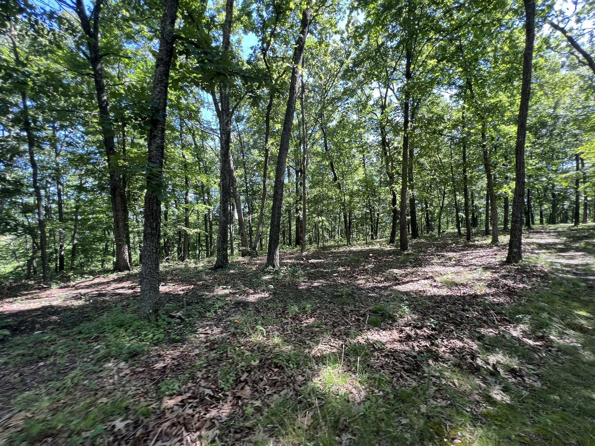 Photo 72 - Residential for sale – 979  Highway Hh   Willow Springs, MO