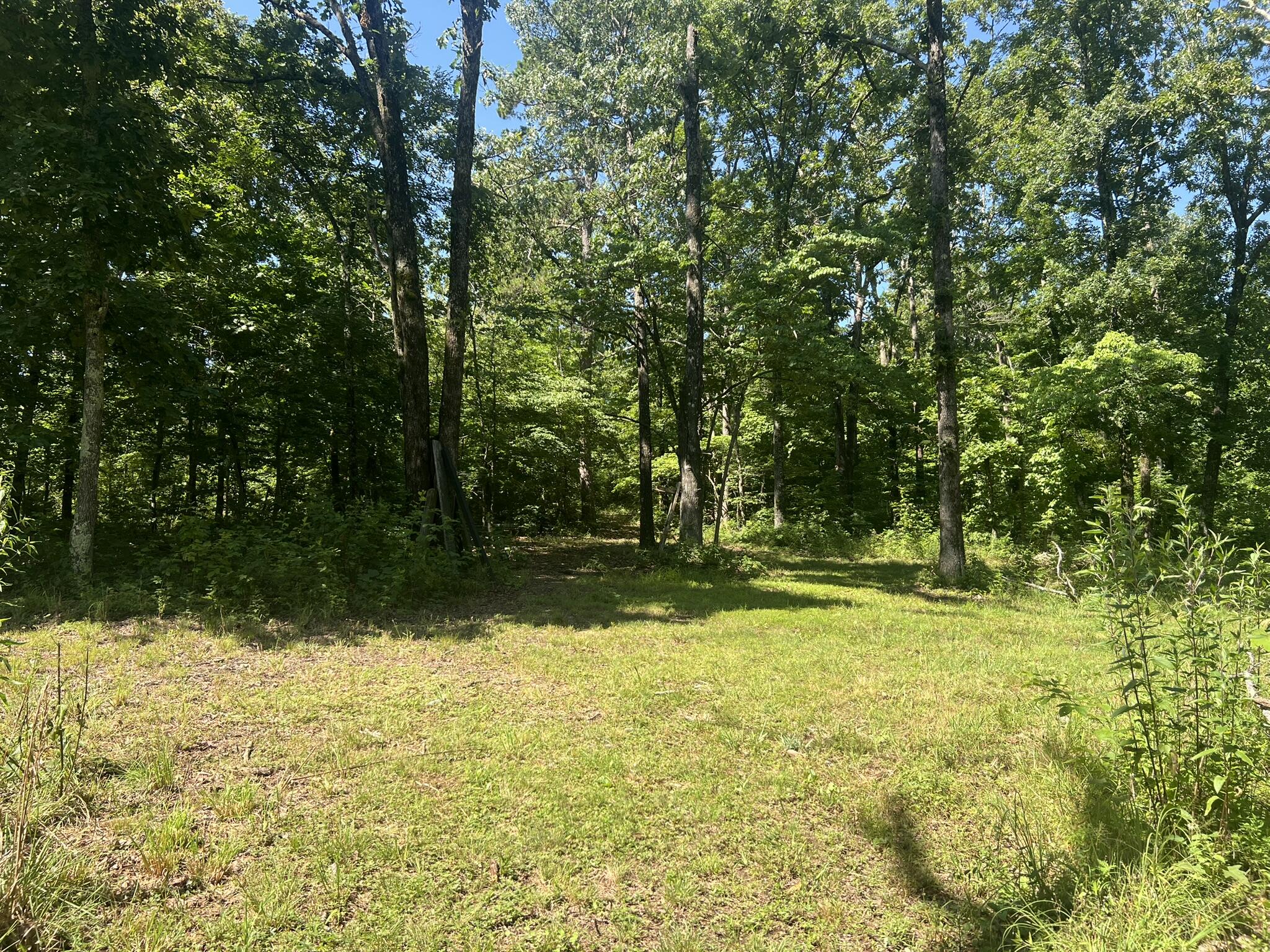 Photo 66 - Residential for sale – 979  Highway Hh   Willow Springs, MO