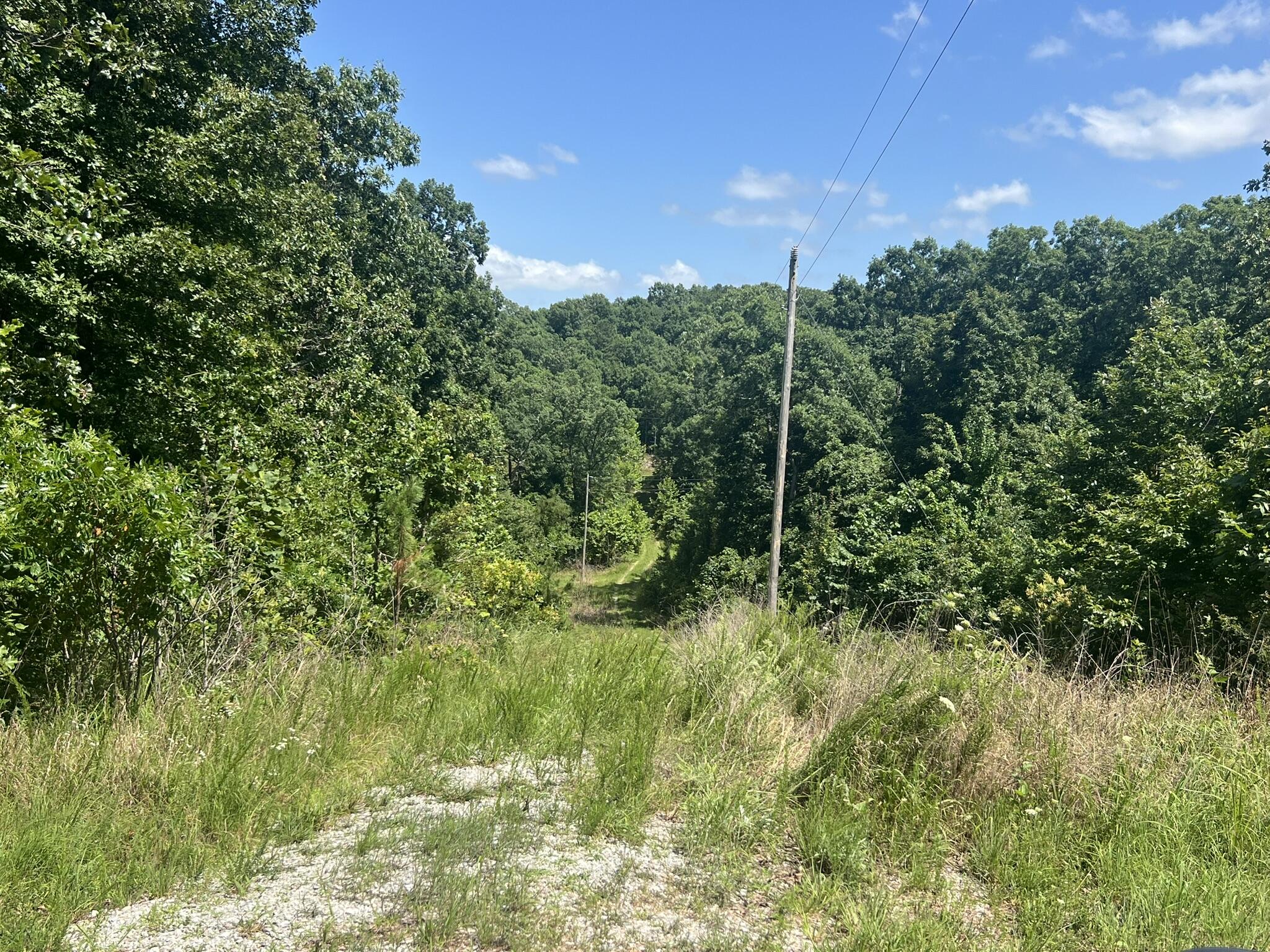 Photo 73 - Residential for sale – 979  Highway Hh   Willow Springs, MO
