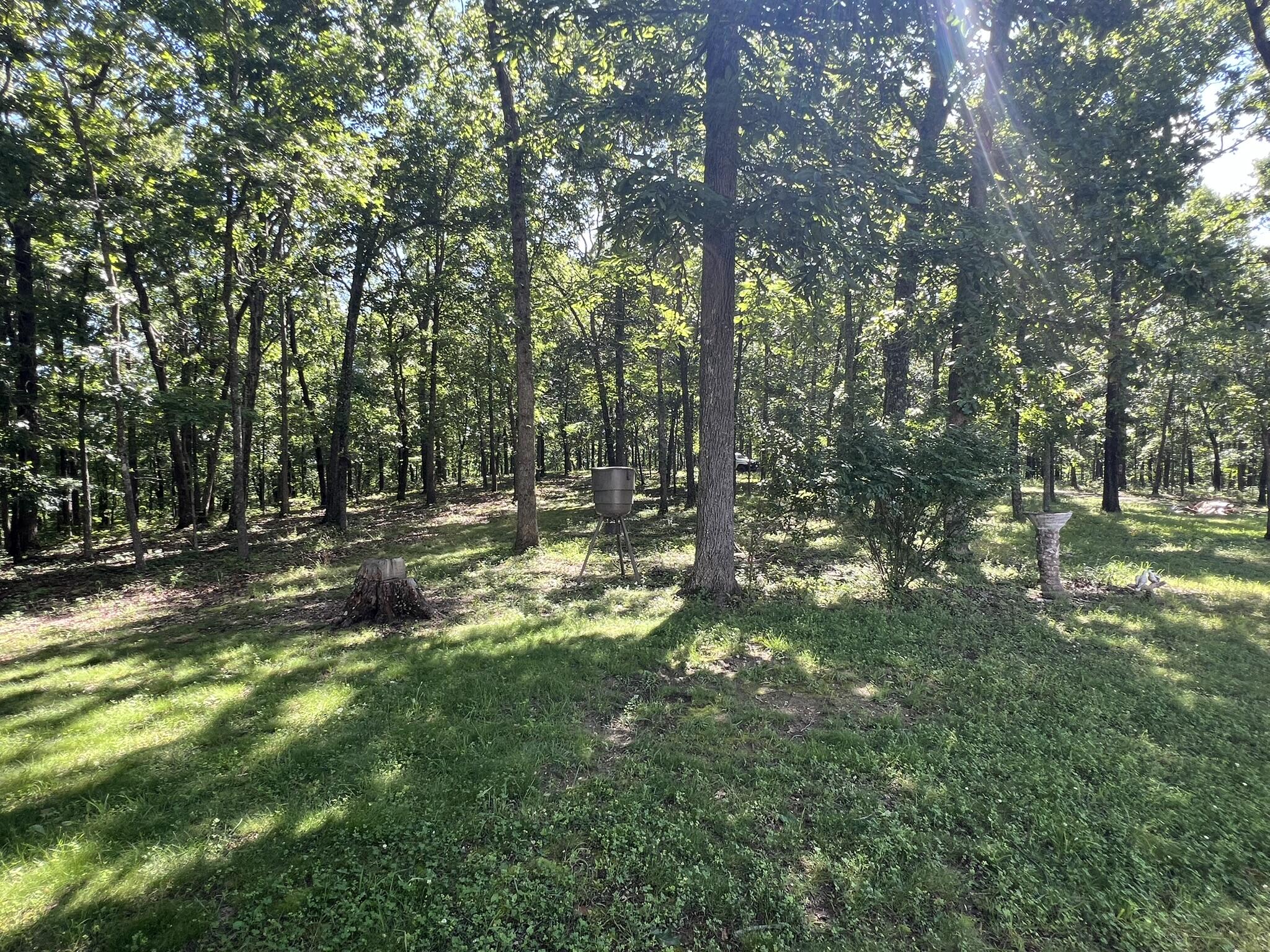 Photo 71 - Residential for sale – 979  Highway Hh   Willow Springs, MO