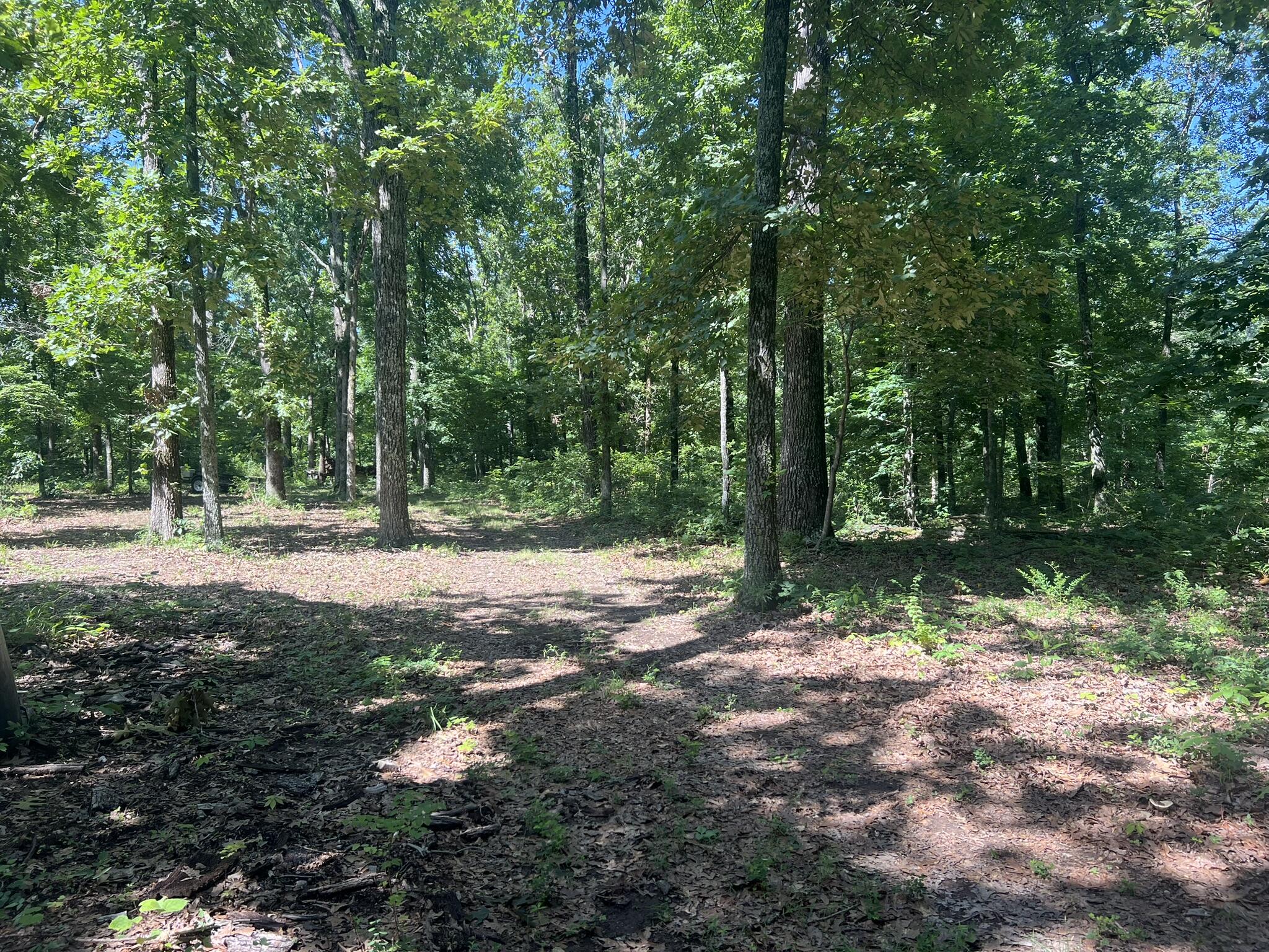 Photo 64 - Residential for sale – 979  Highway Hh   Willow Springs, MO