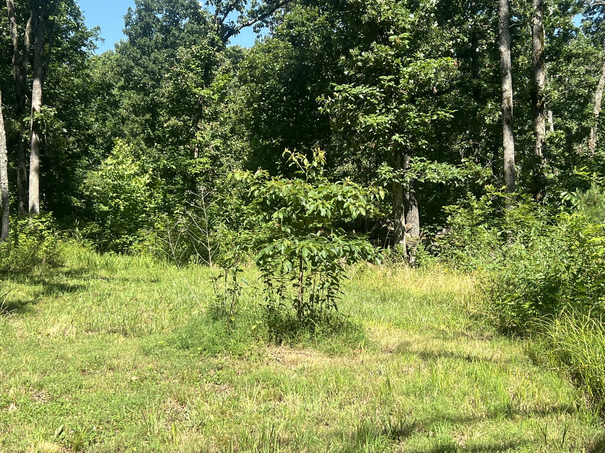 Photo 67 - Residential for sale – 979  Highway Hh   Willow Springs, MO