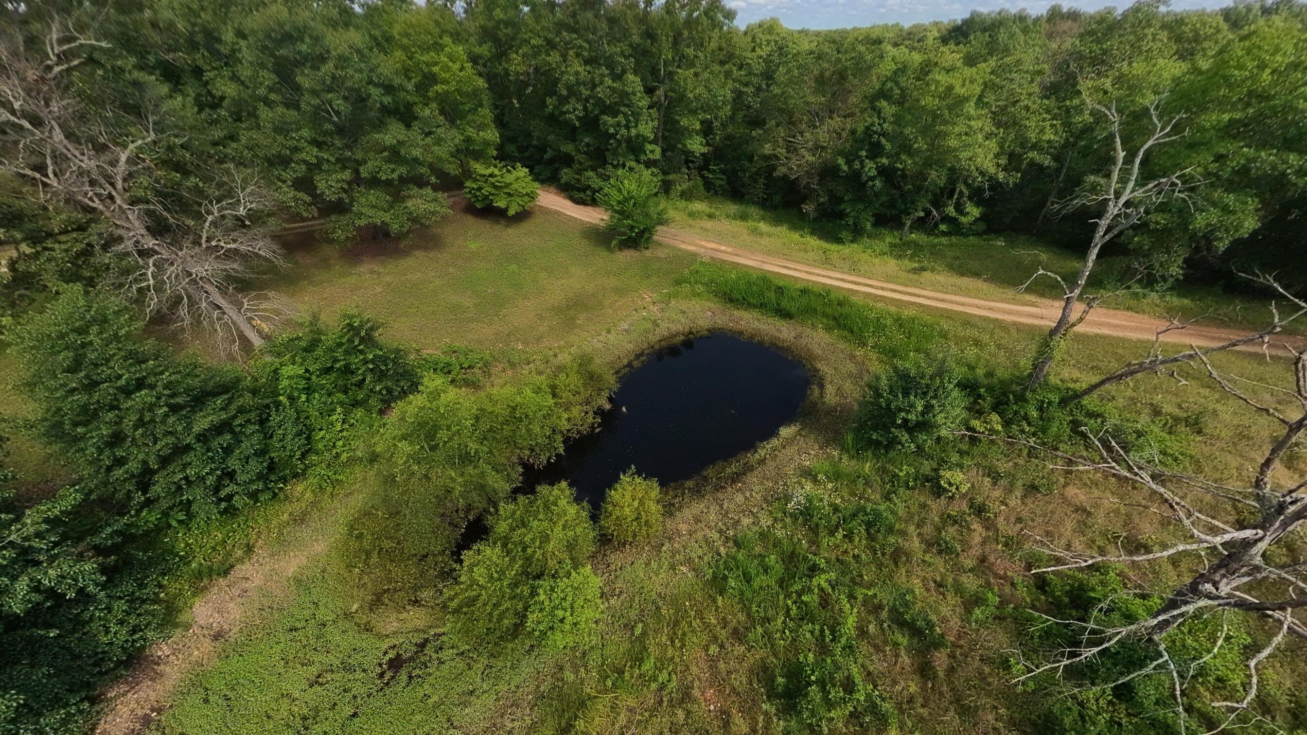 Photo 69 - Residential for sale – 10835  U.S. Highway 63   West Plains, MO