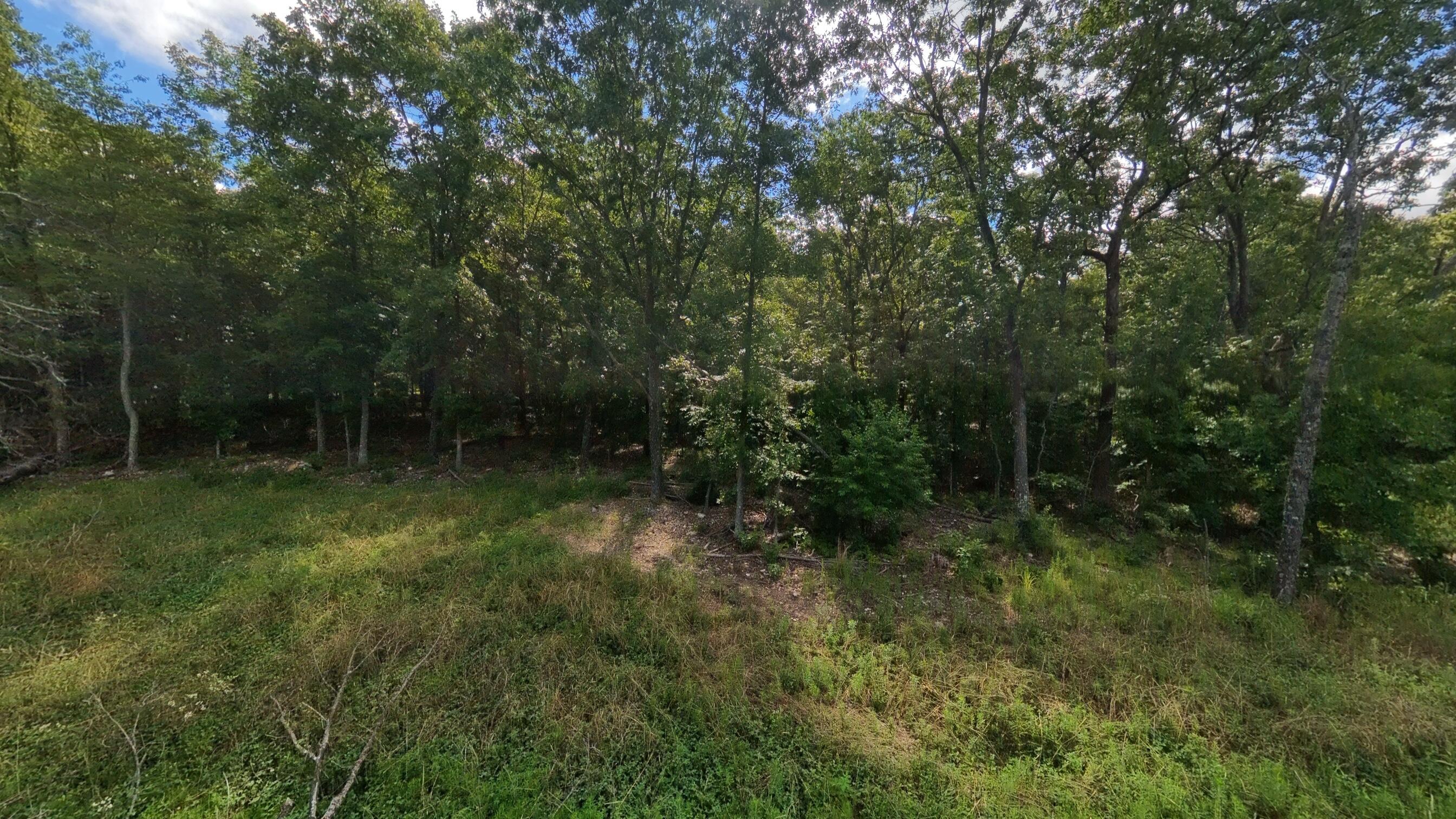 Photo 64 - Residential for sale – 10835  U.S. Highway 63   West Plains, MO