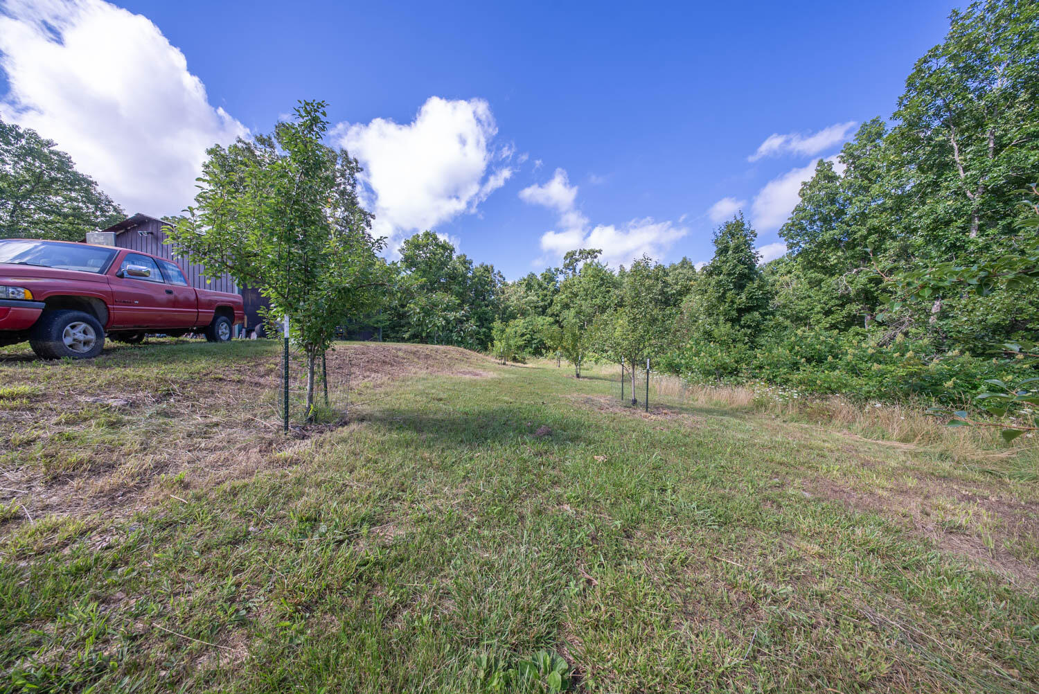 Photo 47 - Residential for sale – 10835  U.S. Highway 63   West Plains, MO