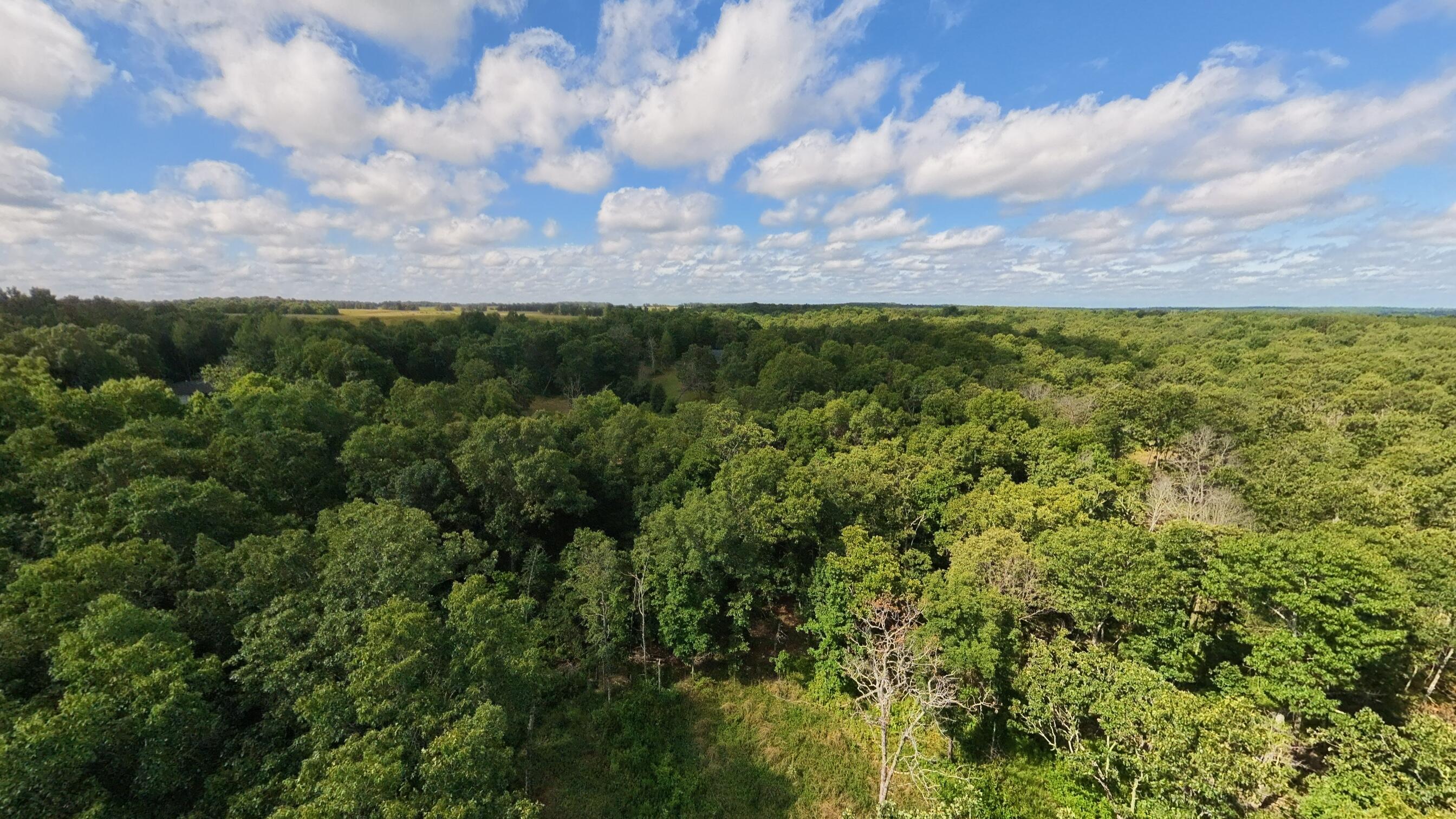 Photo 61 - Residential for sale – 10835  U.S. Highway 63   West Plains, MO