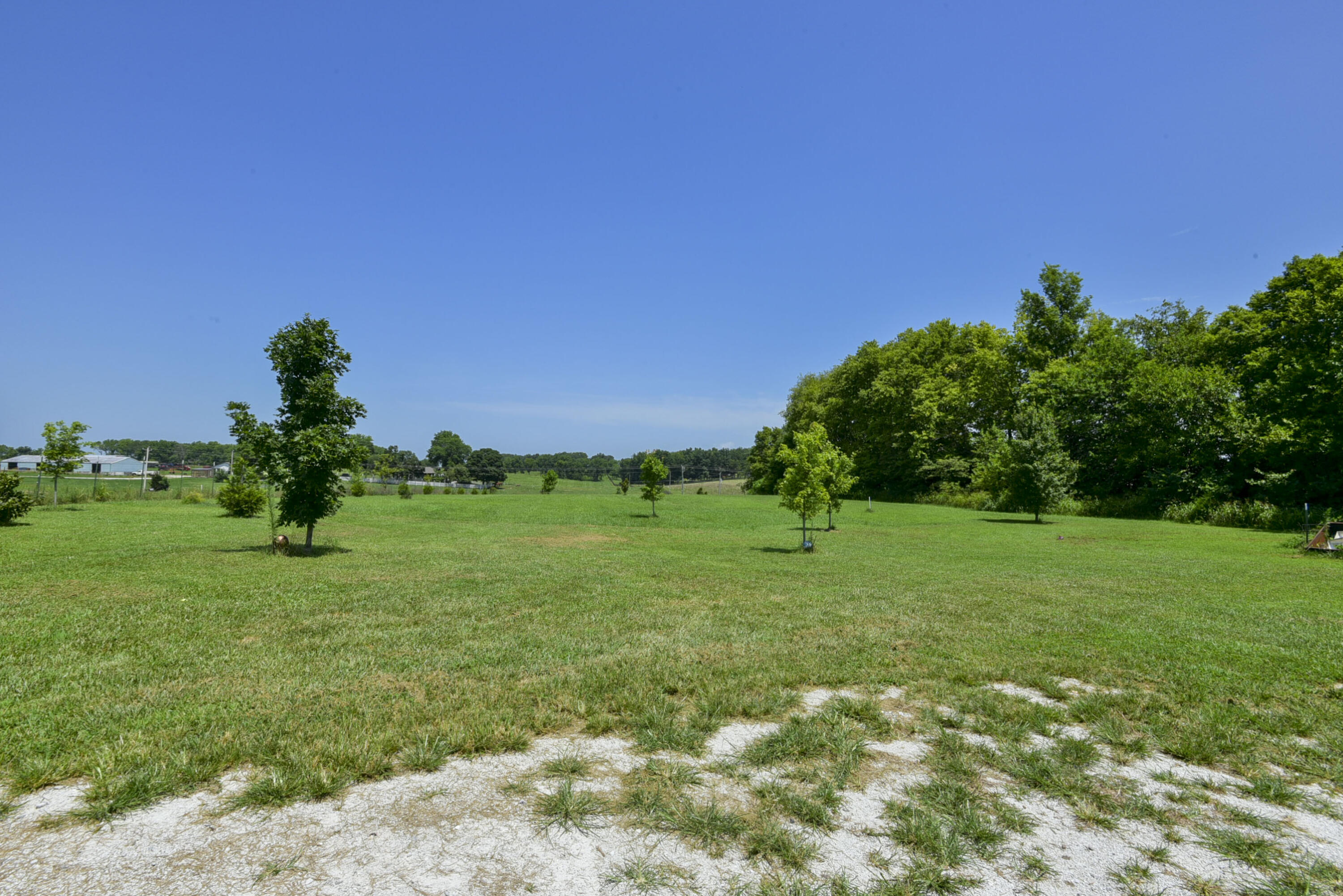 Photo 10 - Residential for sale – 5832 S Freeman Lane  Rogersville, MO