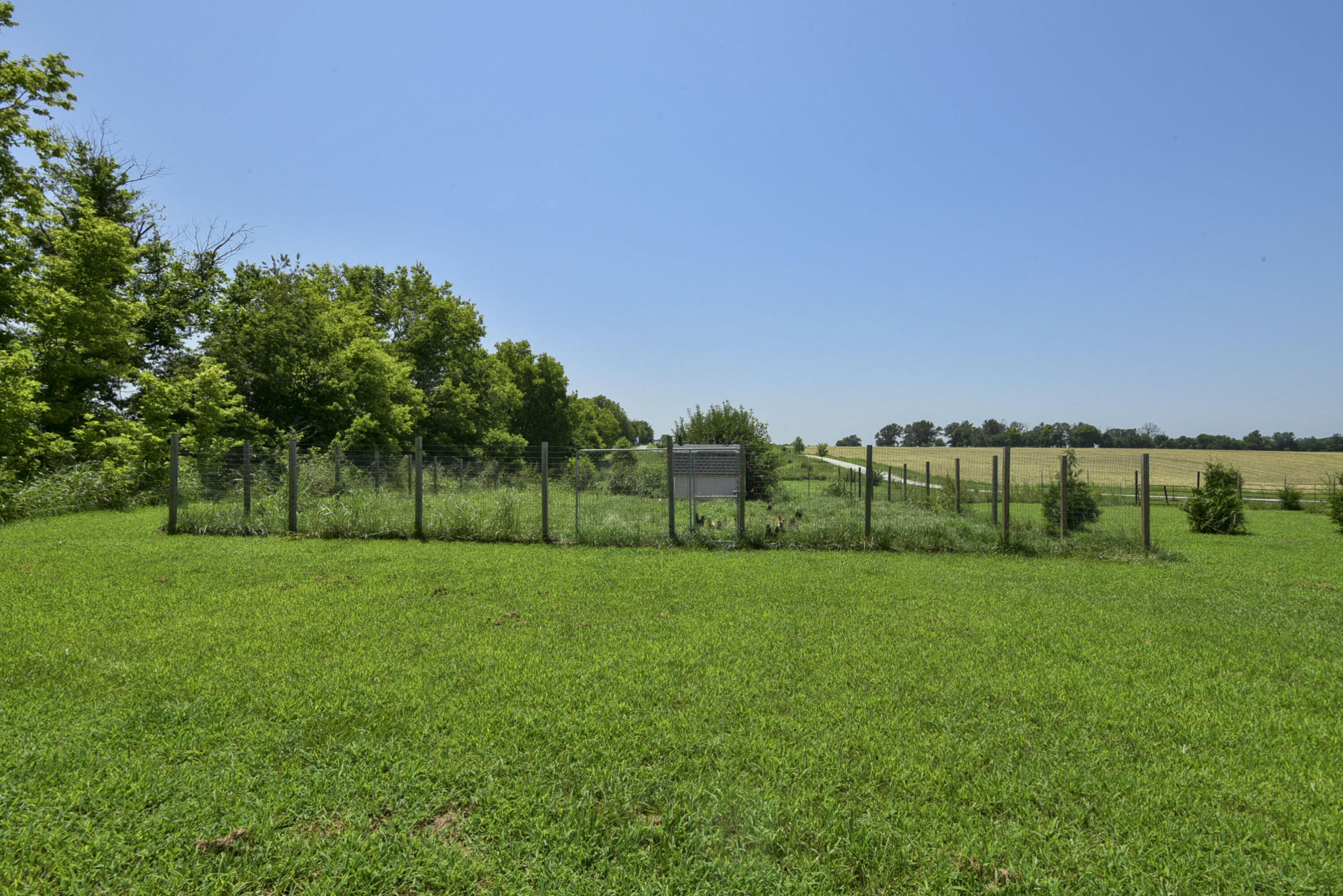 Photo 8 - Residential for sale – 5832 S Freeman Lane  Rogersville, MO