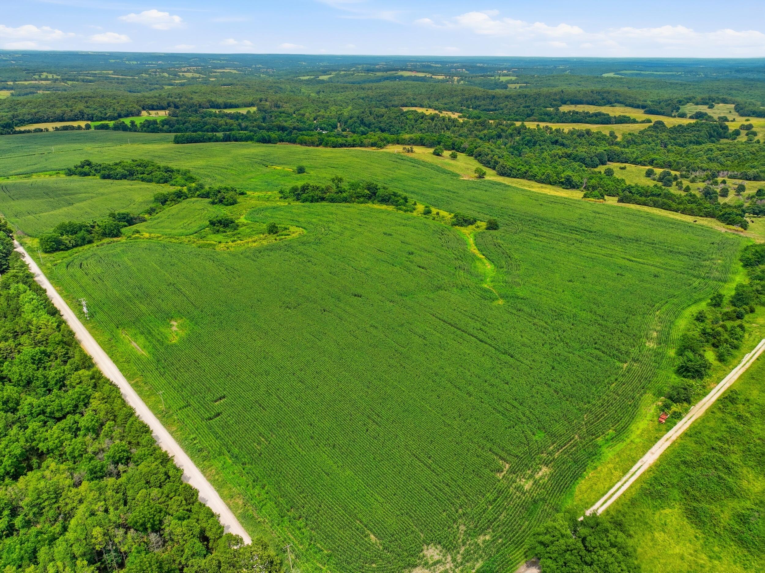 Farm for sale – 000  Gravel Point Road  Mountain Grove, MO