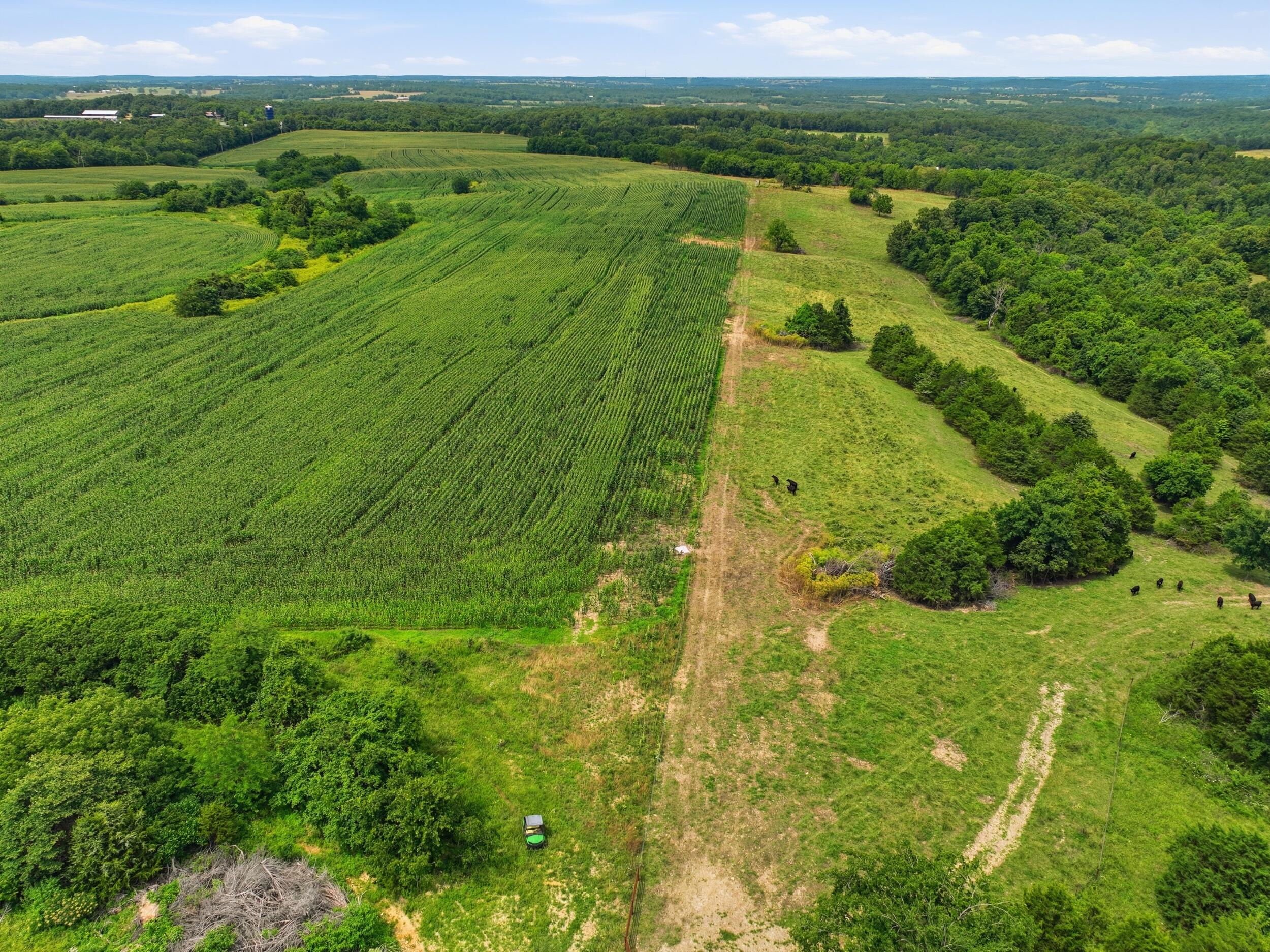 Photo 50 - Farm for sale – 000  Gravel Point Road  Mountain Grove, MO