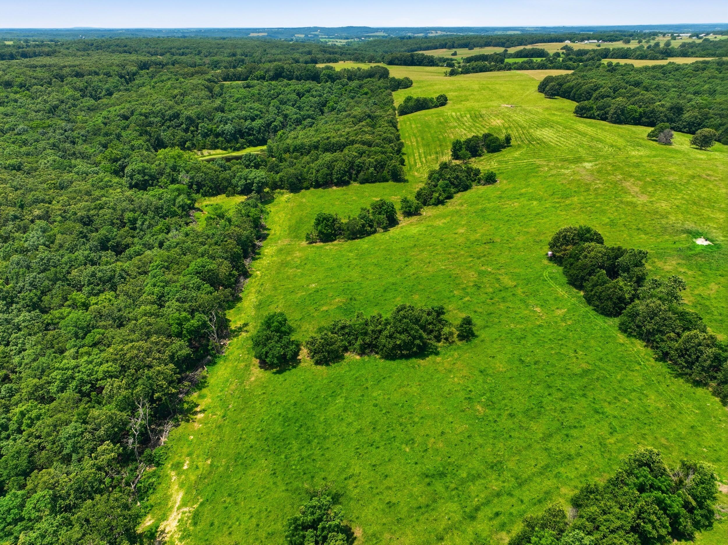 Photo 31 - Farm for sale – 000  Gravel Point Road  Mountain Grove, MO
