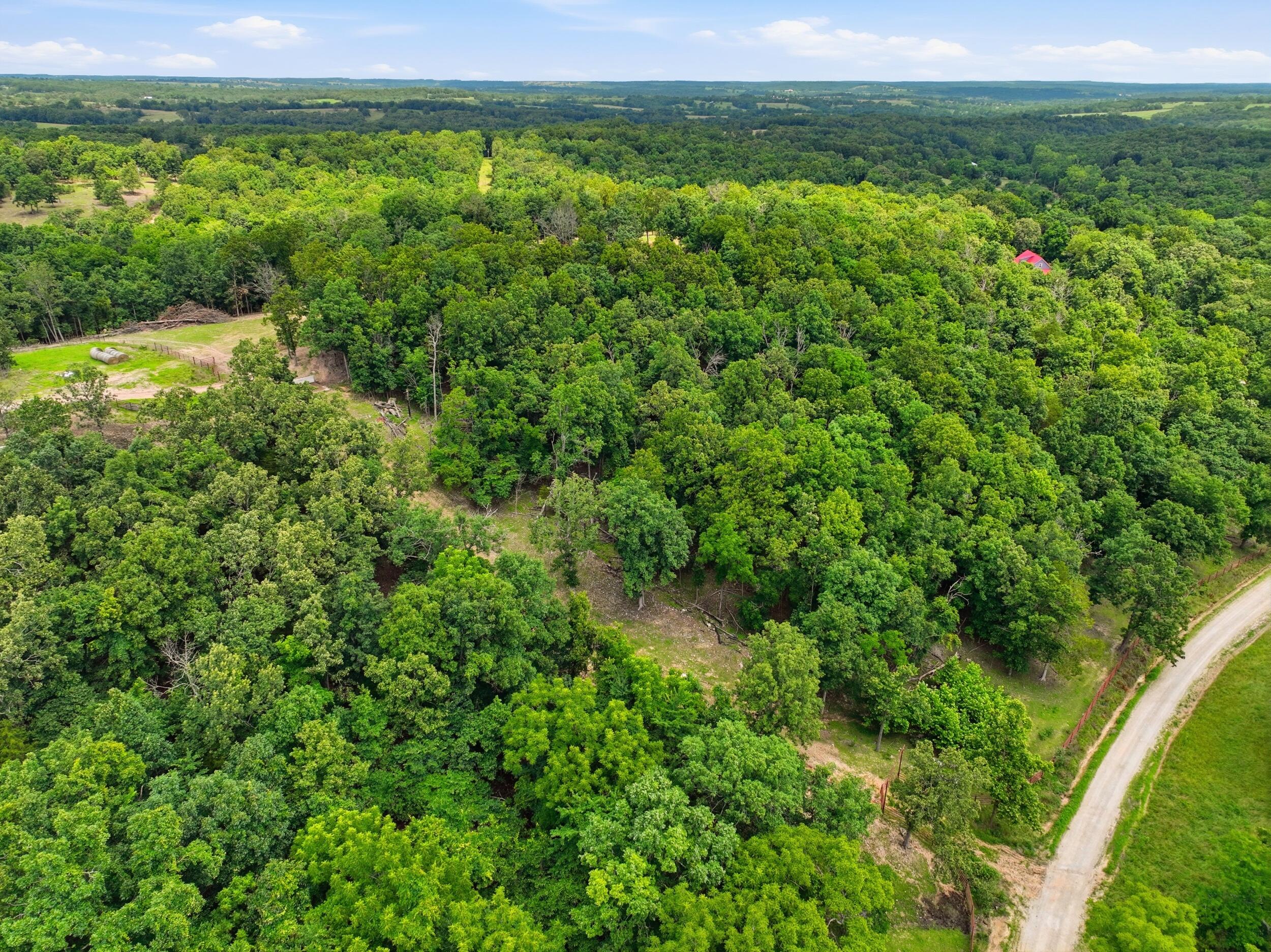 Photo 32 - Farm for sale – 000  Gravel Point Road  Mountain Grove, MO