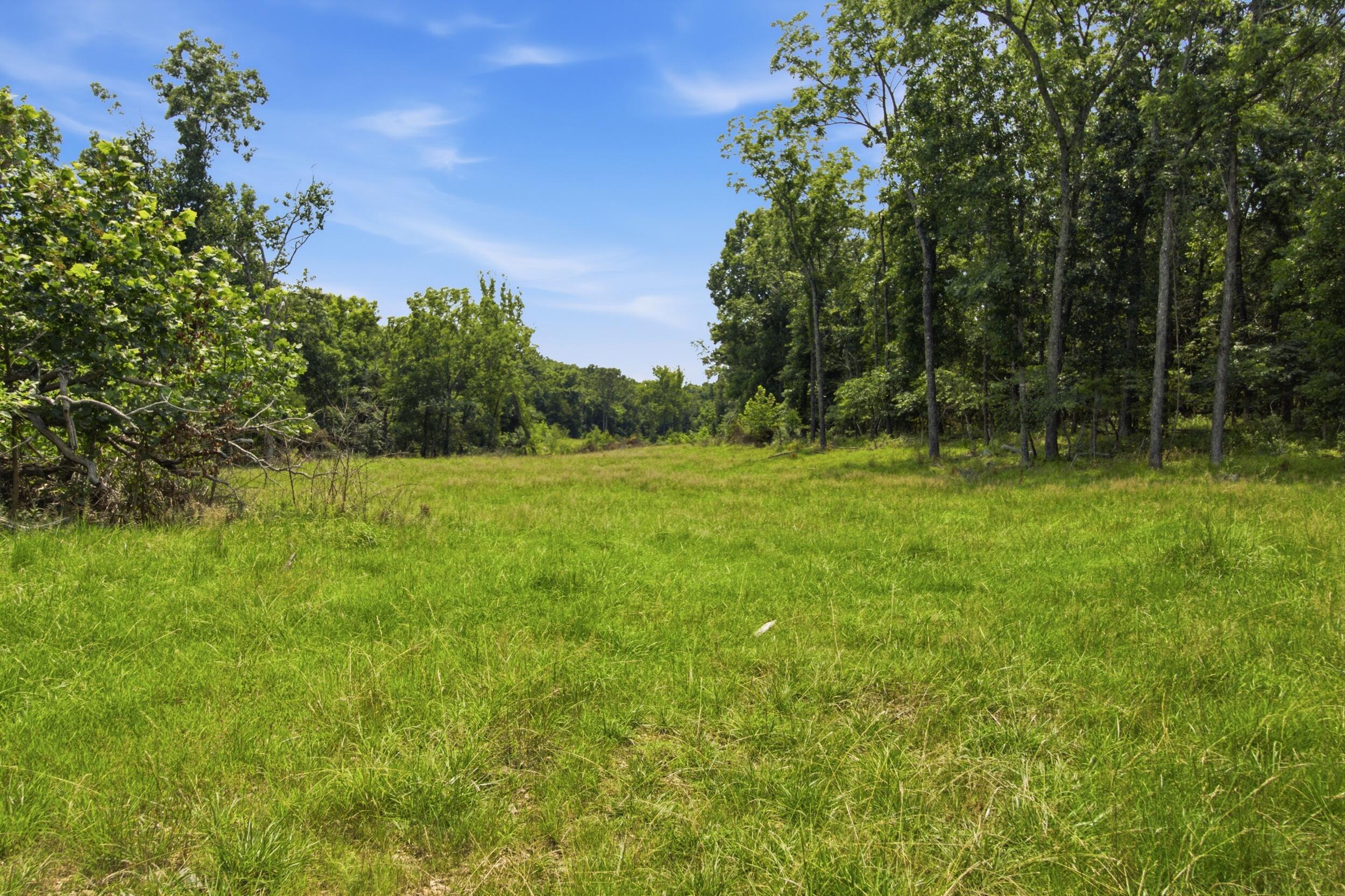 Photo 28 - Farm for sale – 000  Gravel Point Road  Mountain Grove, MO