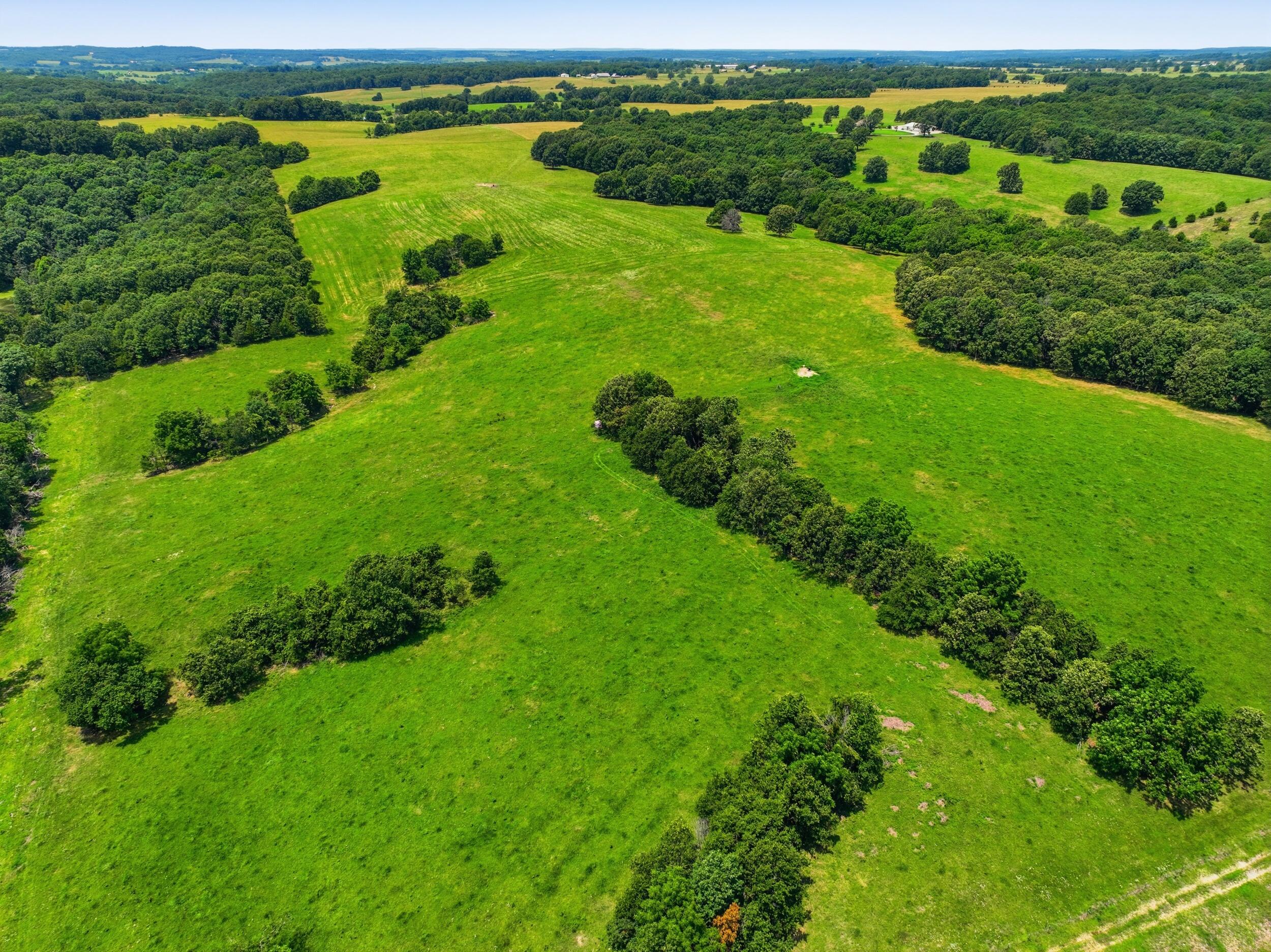 Photo 3 - Farm for sale – 000  Gravel Point Road  Mountain Grove, MO