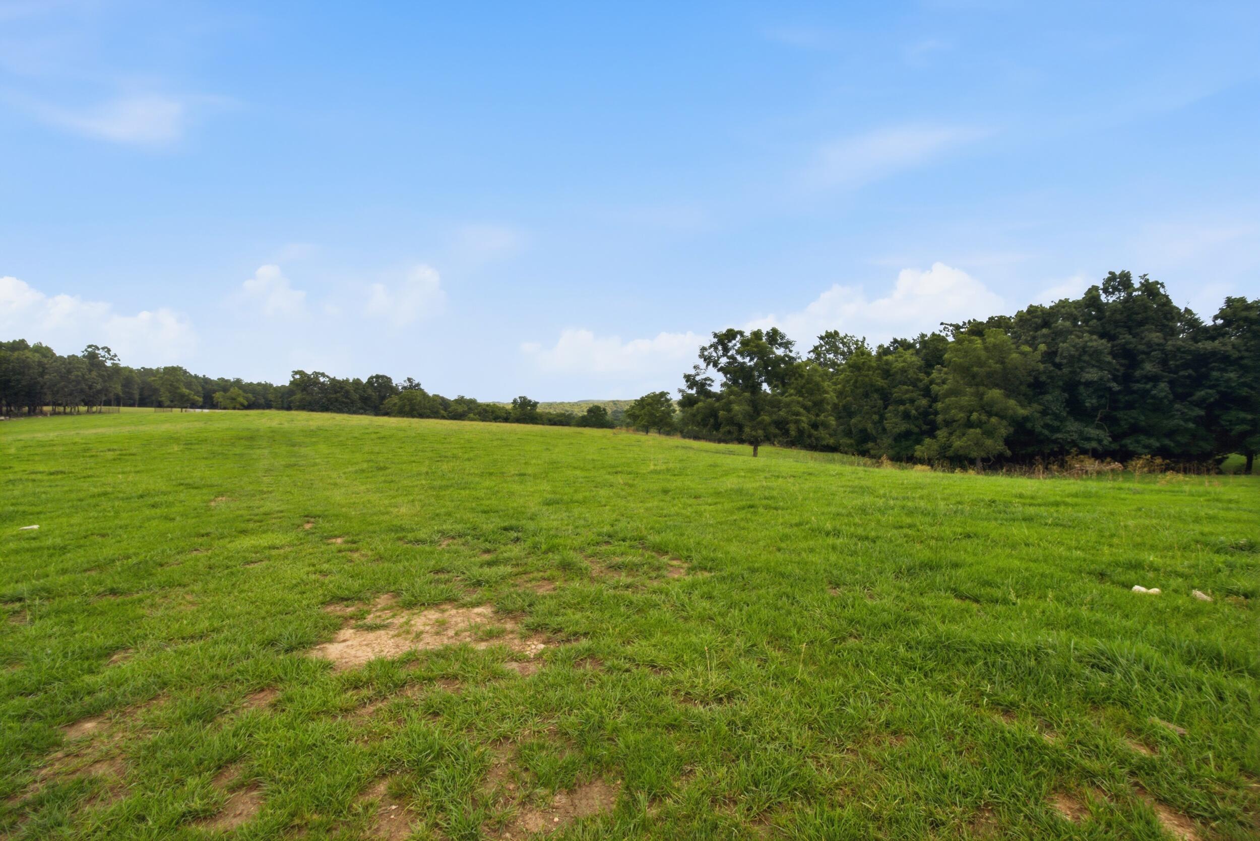 Photo 30 - Farm for sale – 000  Gravel Point Road  Mountain Grove, MO