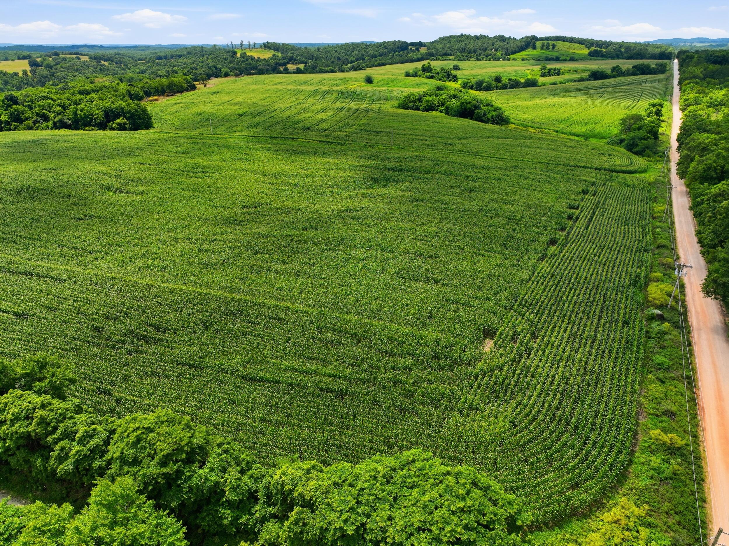 Photo 46 - Farm for sale – 000  Gravel Point Road  Mountain Grove, MO