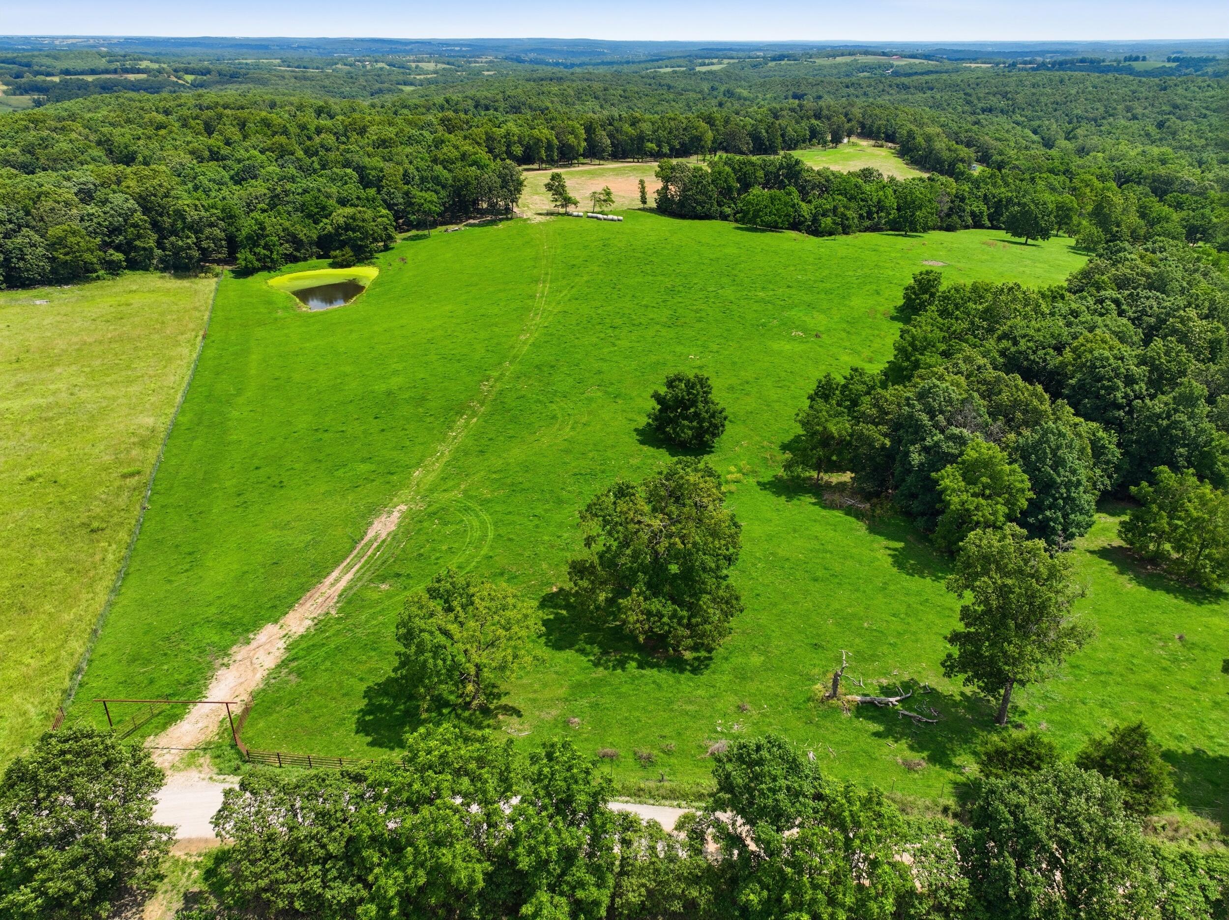 Photo 4 - Farm for sale – 000  Gravel Point Road  Mountain Grove, MO