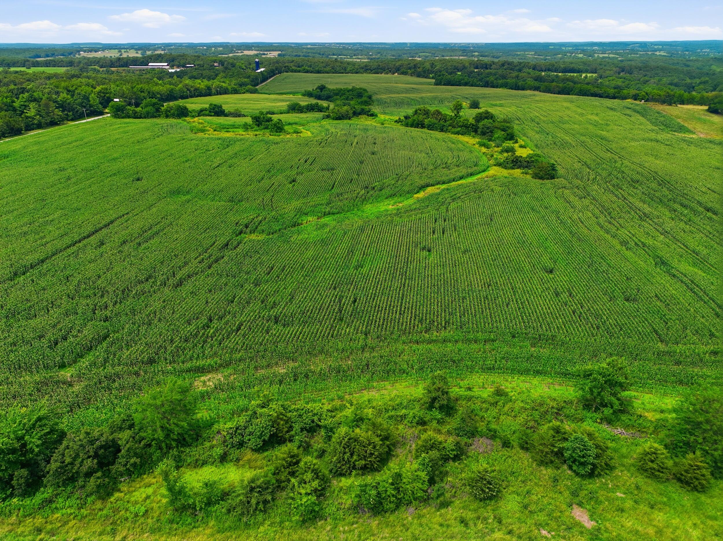 Photo 54 - Farm for sale – 000  Gravel Point Road  Mountain Grove, MO