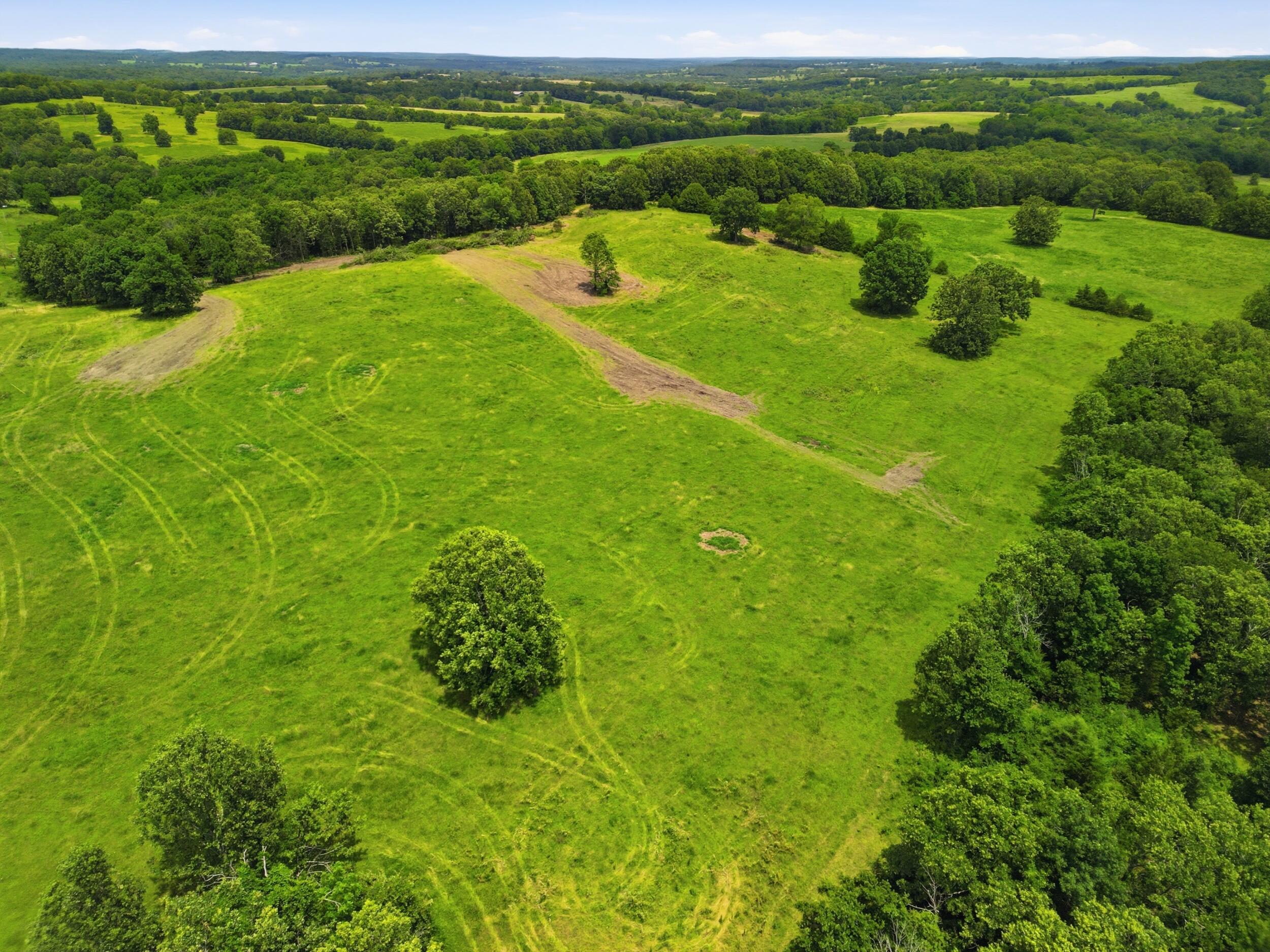 Photo 51 - Farm for sale – 000  Gravel Point Road  Mountain Grove, MO