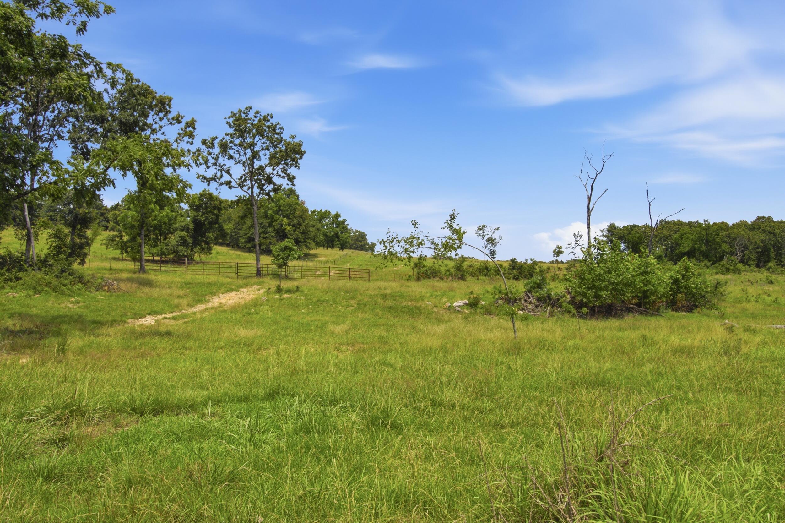 Photo 29 - Farm for sale – 000  Gravel Point Road  Mountain Grove, MO