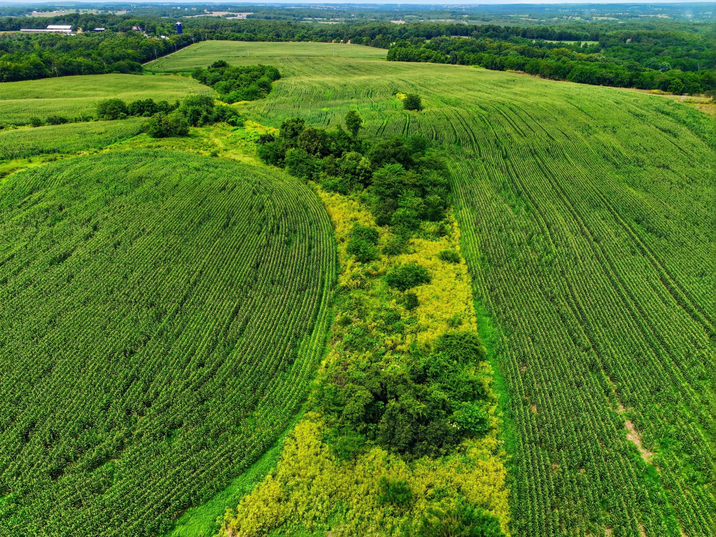 Photo 22 - Farm for sale – 000  Gravel Point Road  Mountain Grove, MO