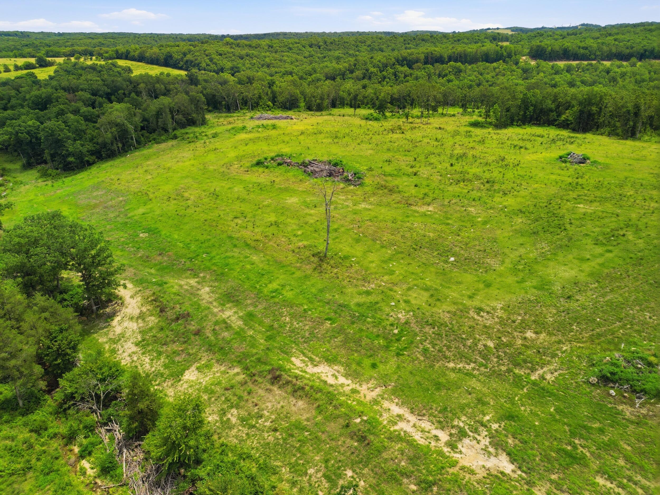 Photo 15 - Farm for sale – 000  Gravel Point Road  Mountain Grove, MO
