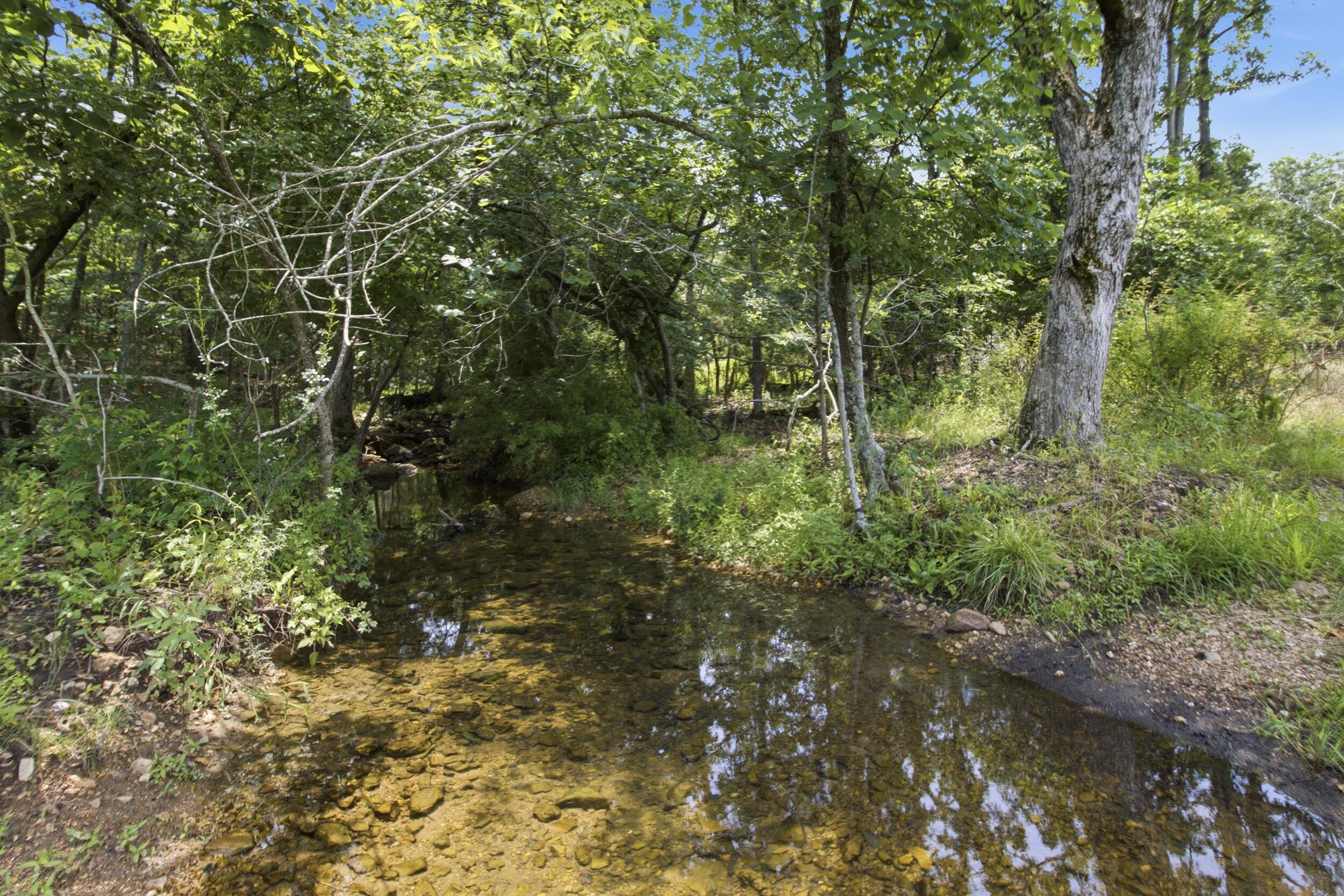 Photo 8 - Farm for sale – 000  Gravel Point Road  Mountain Grove, MO