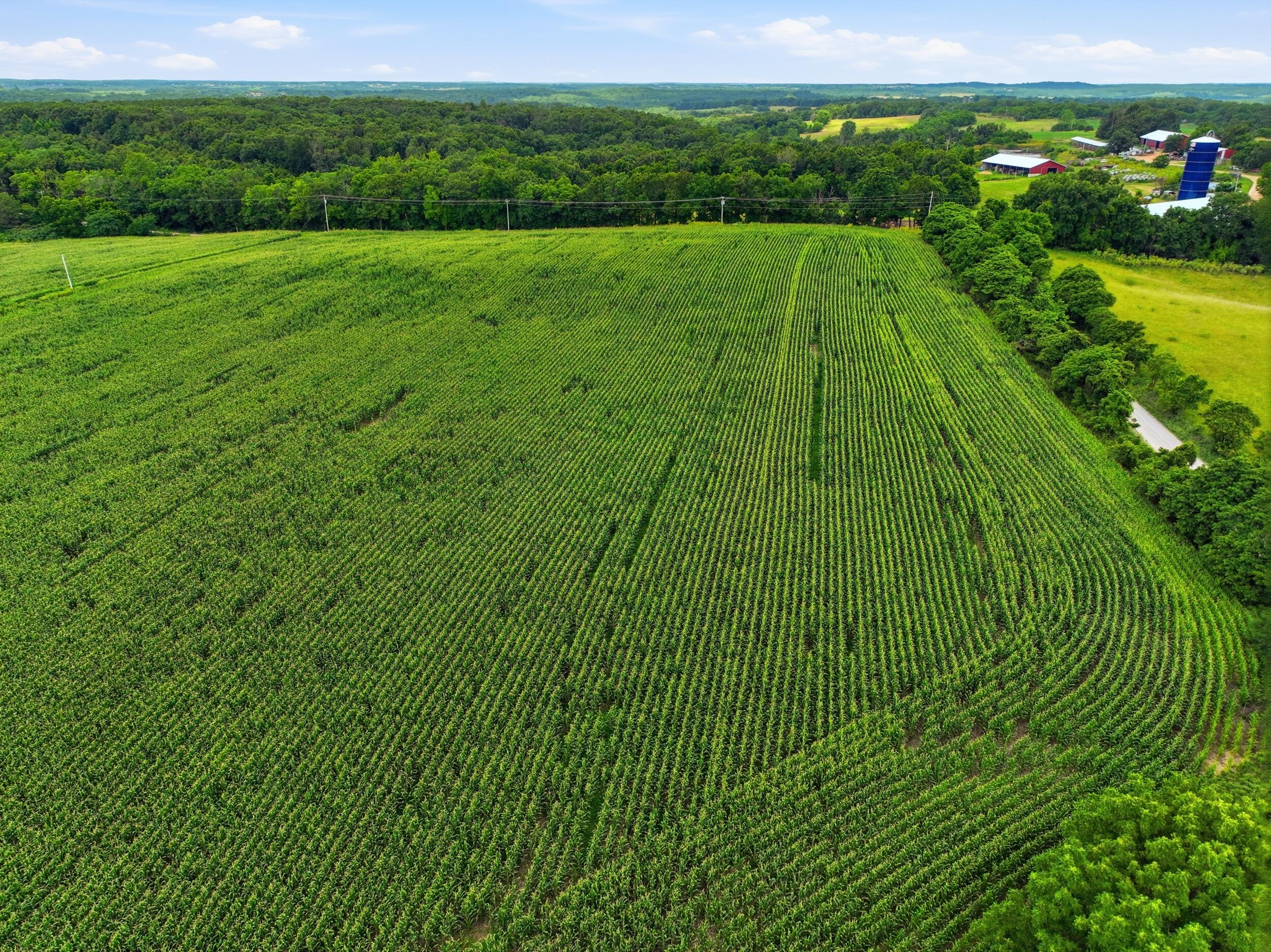 Photo 11 - Farm for sale – 000  Gravel Point Road  Mountain Grove, MO