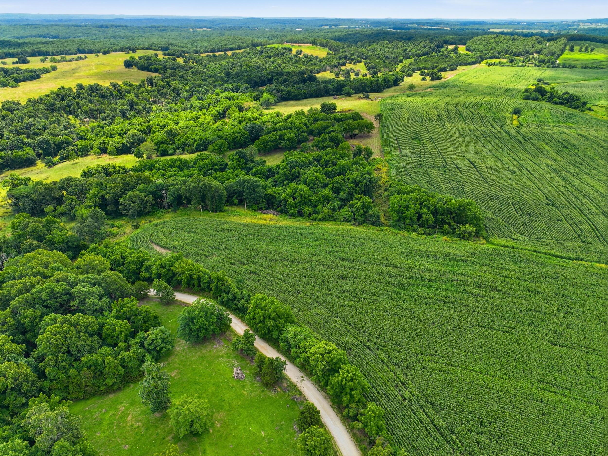 Photo 49 - Farm for sale – 000  Gravel Point Road  Mountain Grove, MO