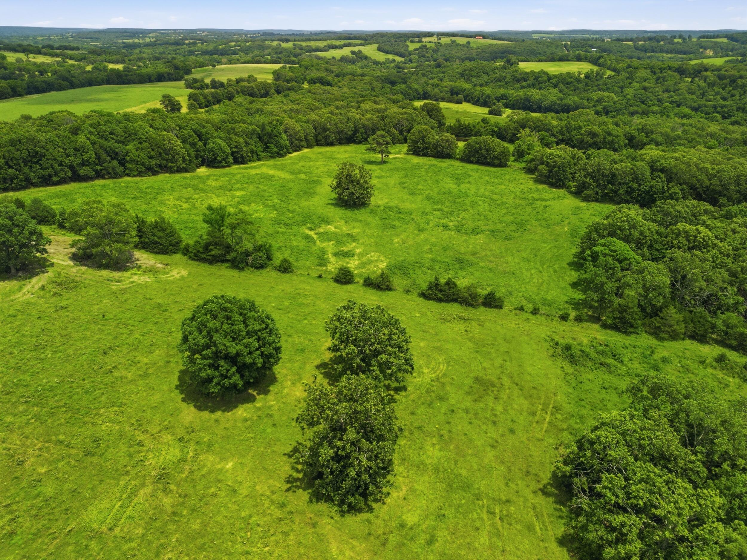 Photo 53 - Farm for sale – 000  Gravel Point Road  Mountain Grove, MO