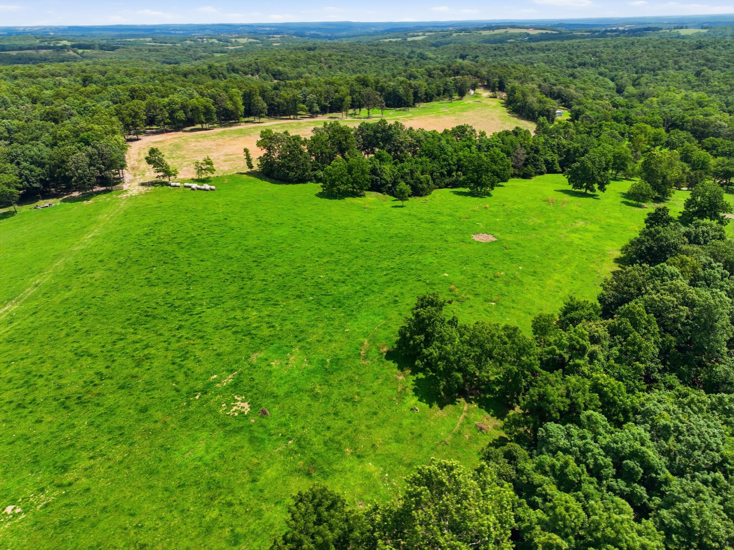 Photo 6 - Farm for sale – 000  Gravel Point Road  Mountain Grove, MO