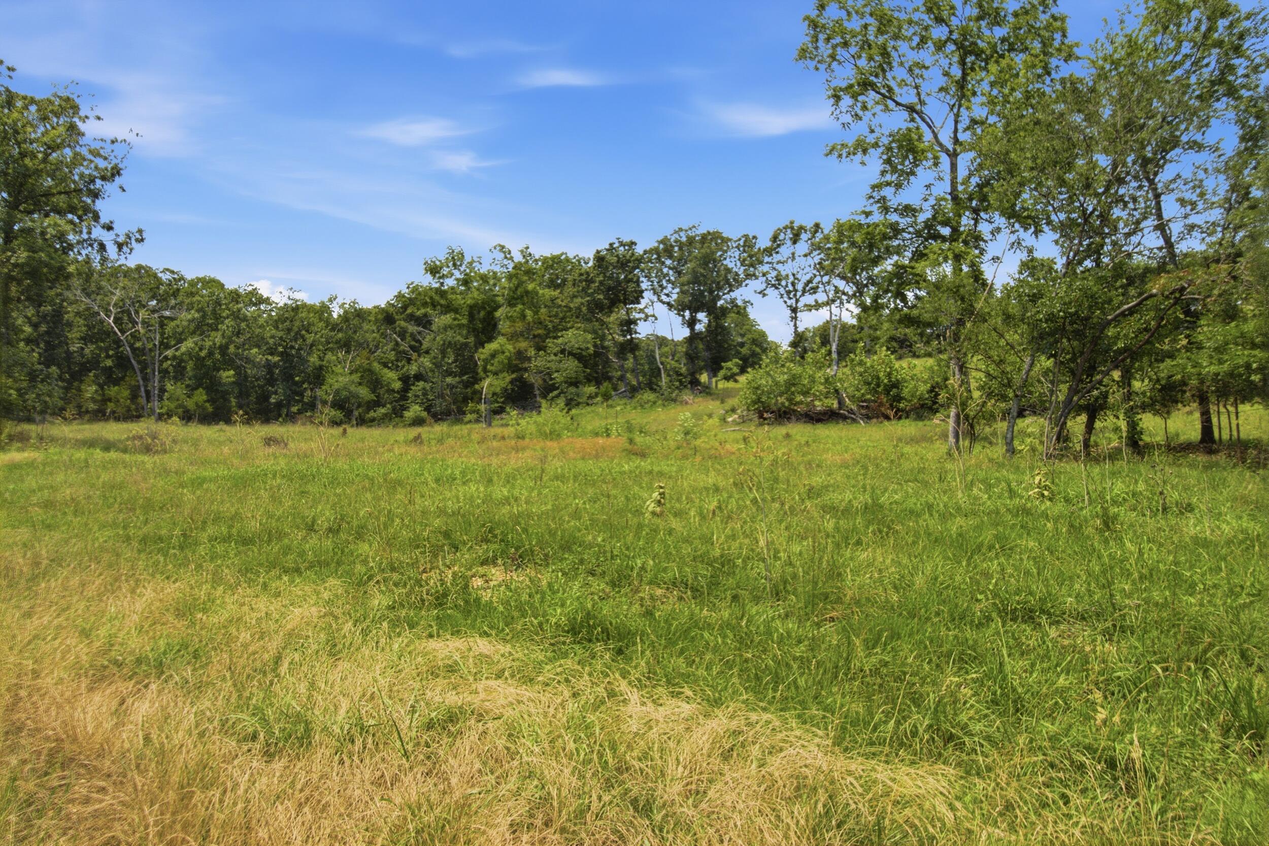 Photo 27 - Farm for sale – 000  Gravel Point Road  Mountain Grove, MO