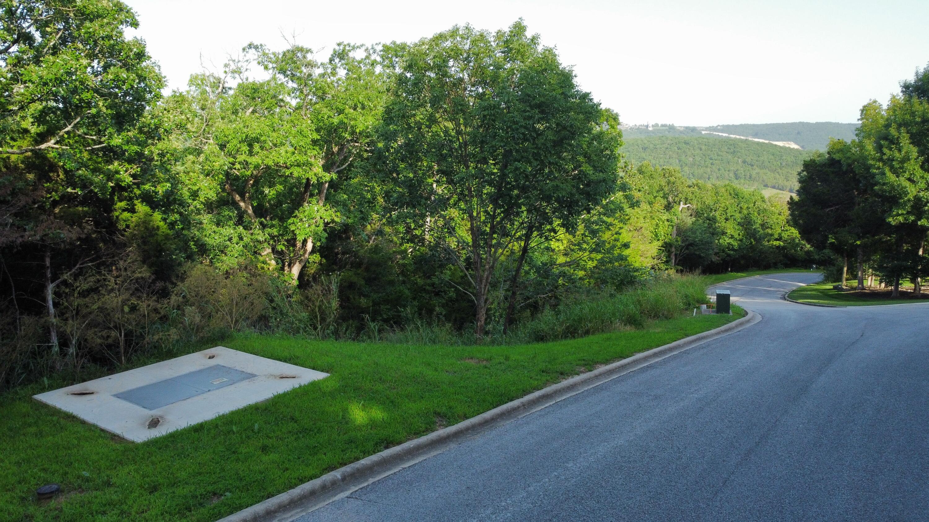 Photo 2 - Land for sale – 000  Flat Rock Road   Hollister, MO