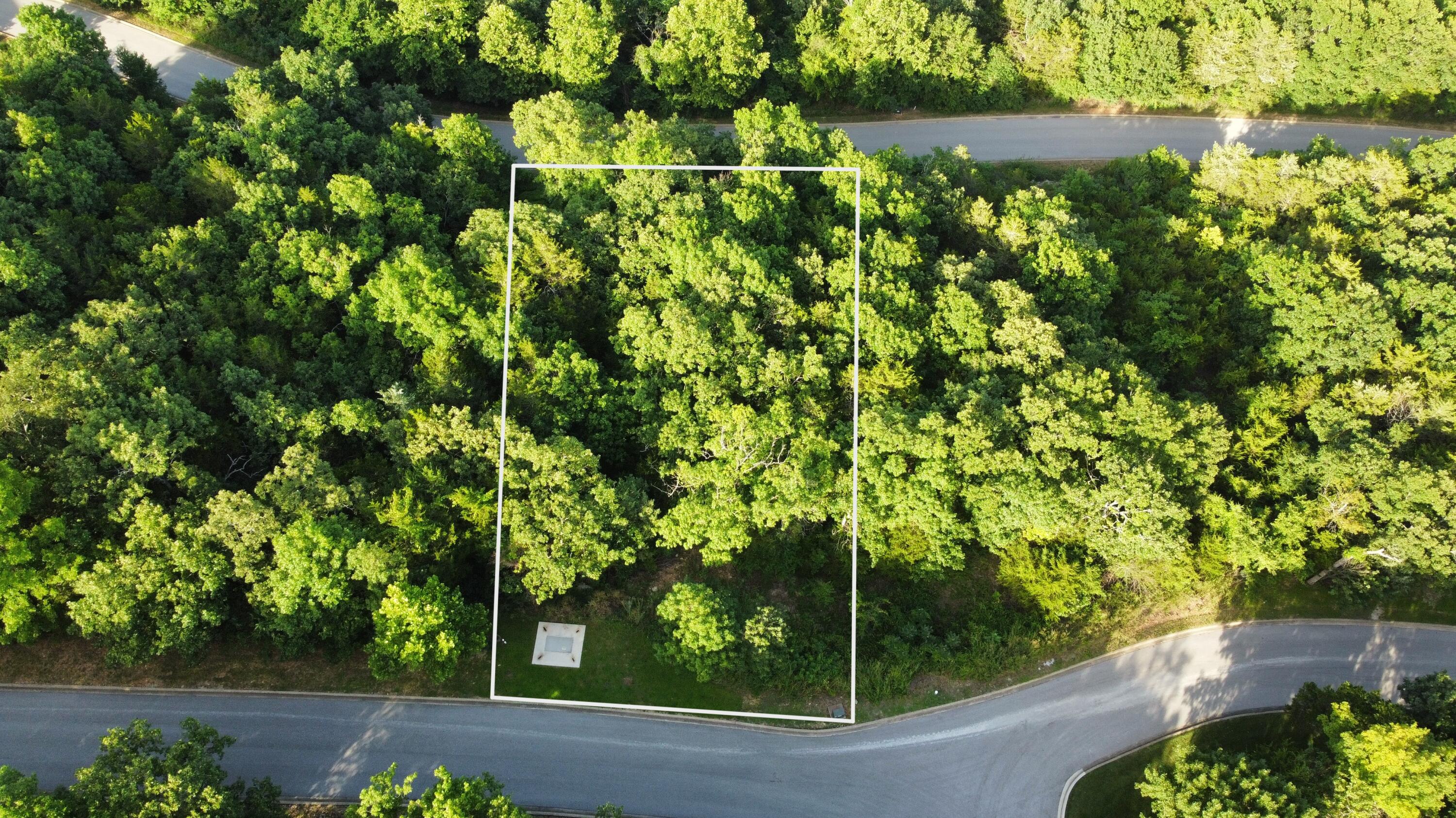 Photo 3 - Land for sale – 000  Flat Rock Road   Hollister, MO