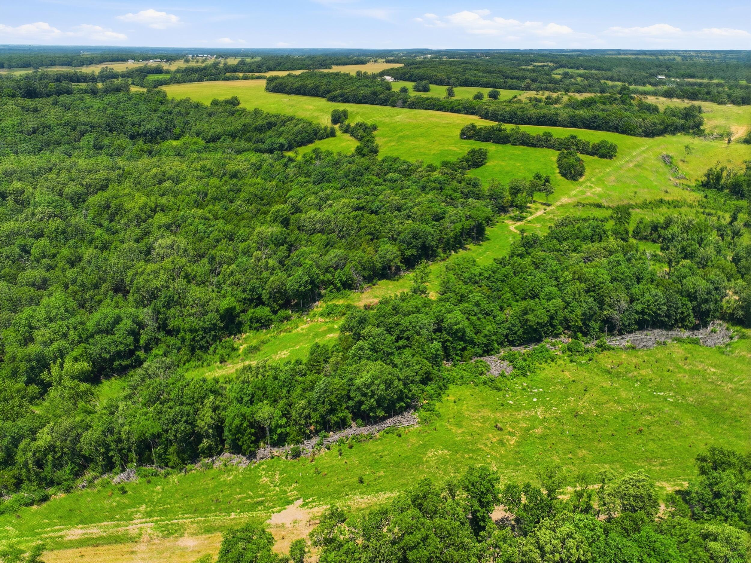 Photo 25 - Farm for sale – 000  Gravel Point Road  Mountain Grove, MO